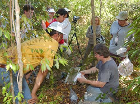 Students collecting