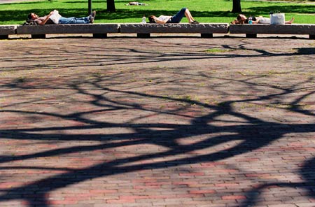 Cambridge Common