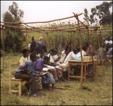 Bench of