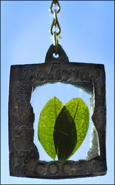 Coca