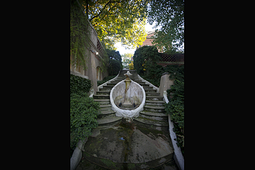 Mossy walkway