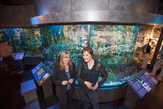 Jane Pickering (left), executive director of the Harvard Museums of Science and Culture, and Janis Sacco, director of exhibitions, are pictured in the “Marine Life" exhibit. Photos by Kris Snibbe/Harvard Staff Photographer