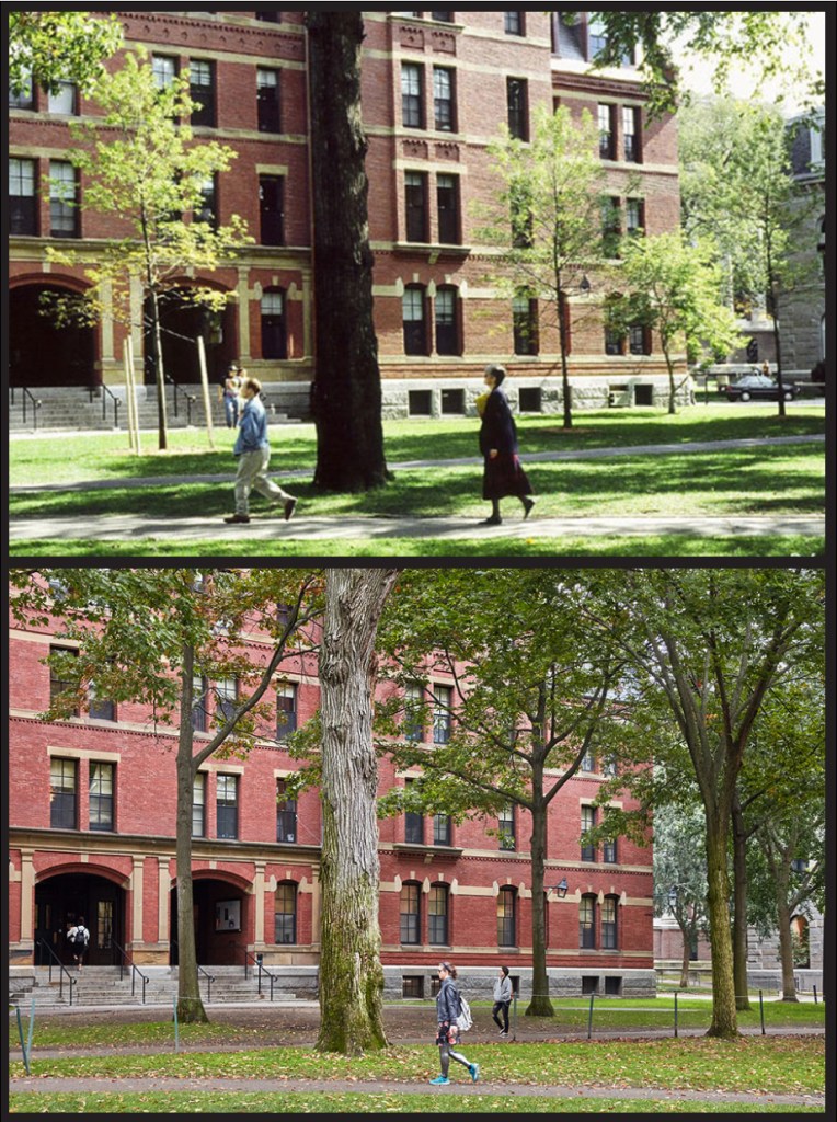 Weld Hall, 1990s vs. 2017