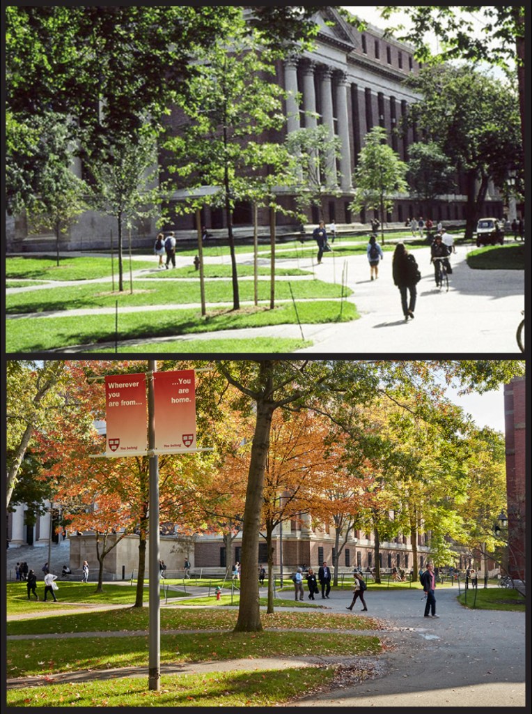 Widener Library, 1990s vs. 2017