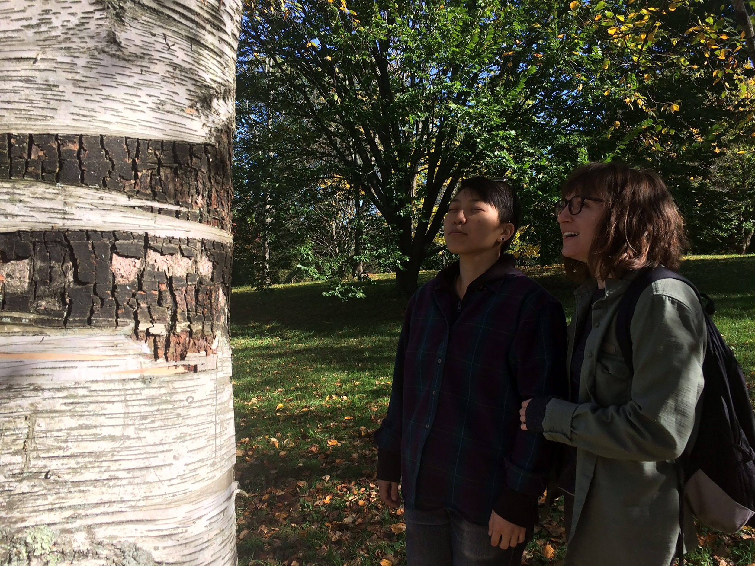 Participants in forest retreat.