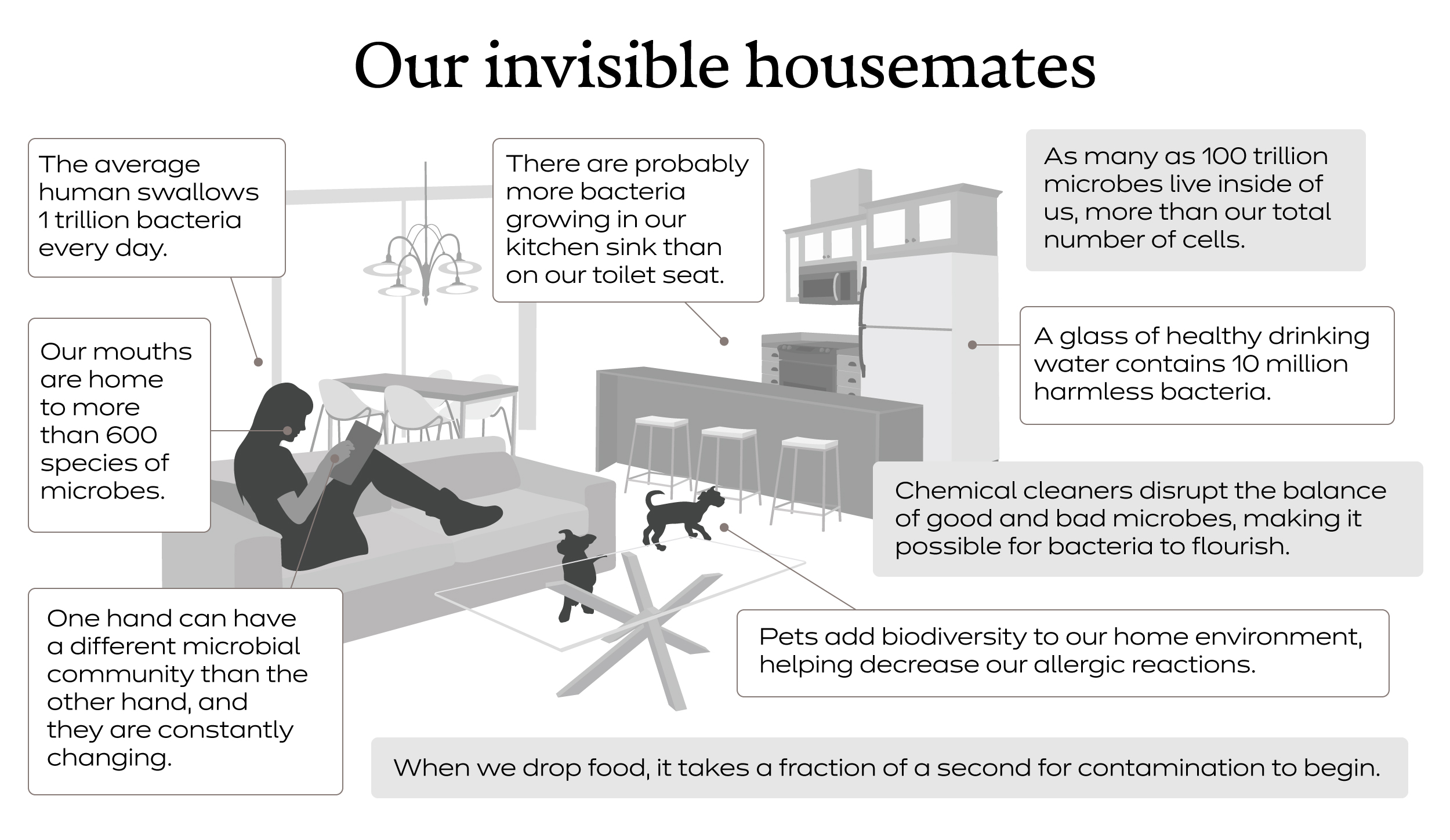 Microbe factbox.