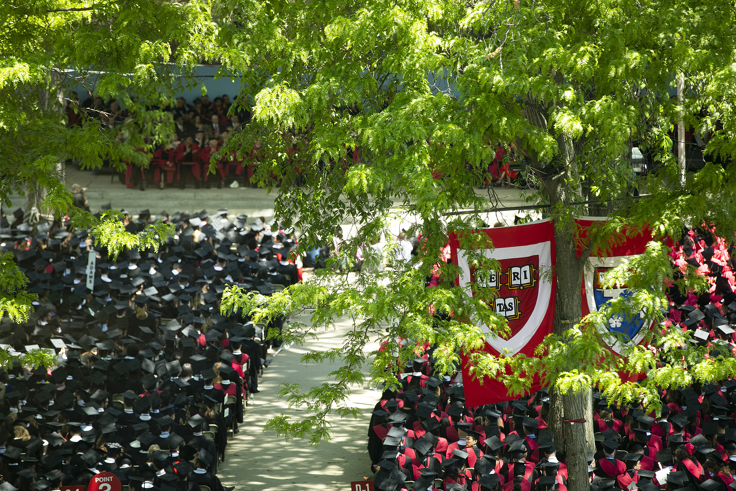 Overview of Harvard Yard during commencement.