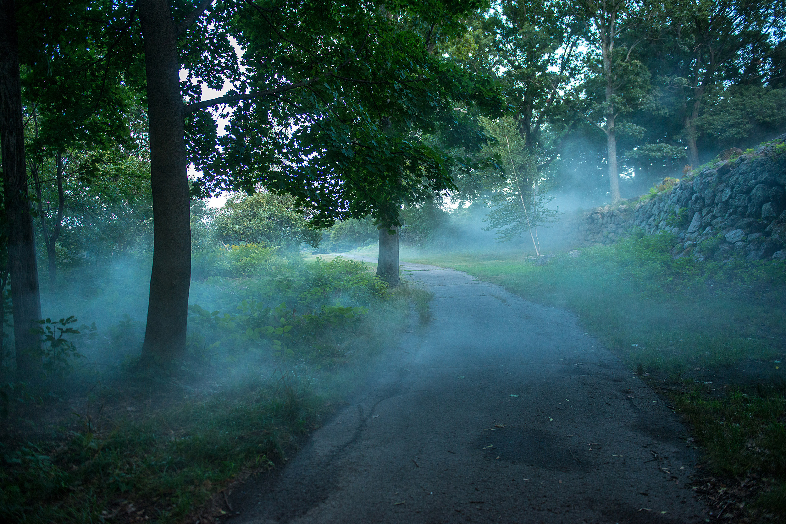 Fujiko Nakaya's Fog x Ruins at Franklin Park.