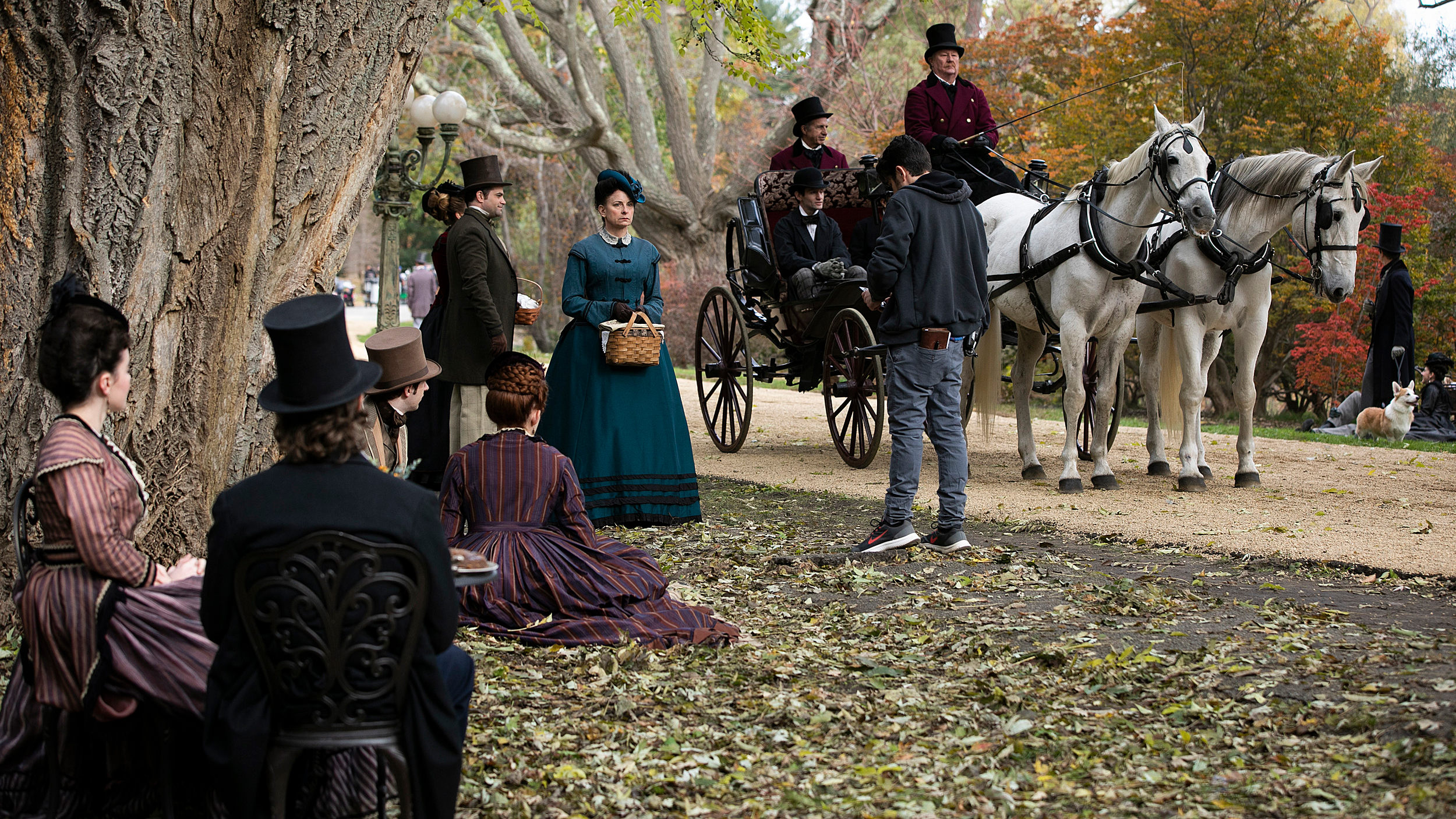 'Little Women' filmed at Arnold Arboretum.