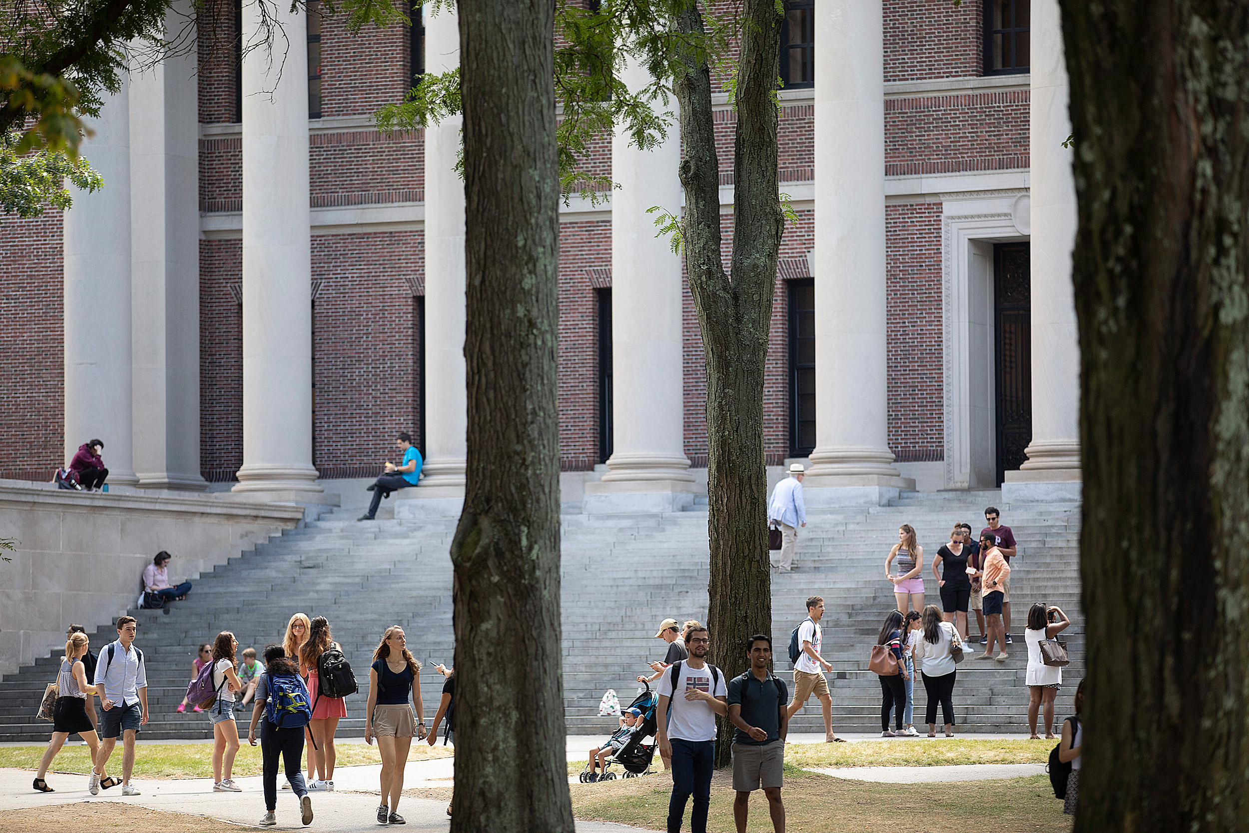 Students outside Widener Library.