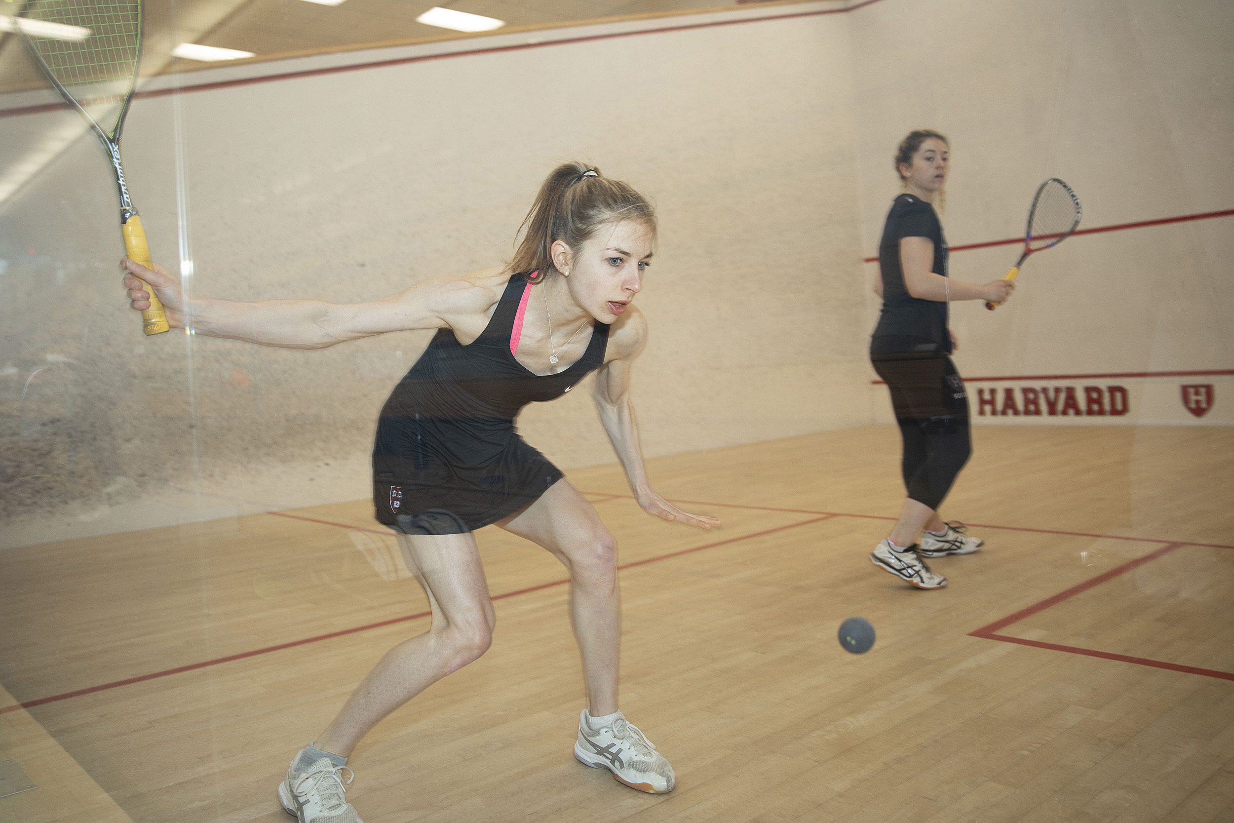 Harvard squash team wins national championships in undefeated season ...