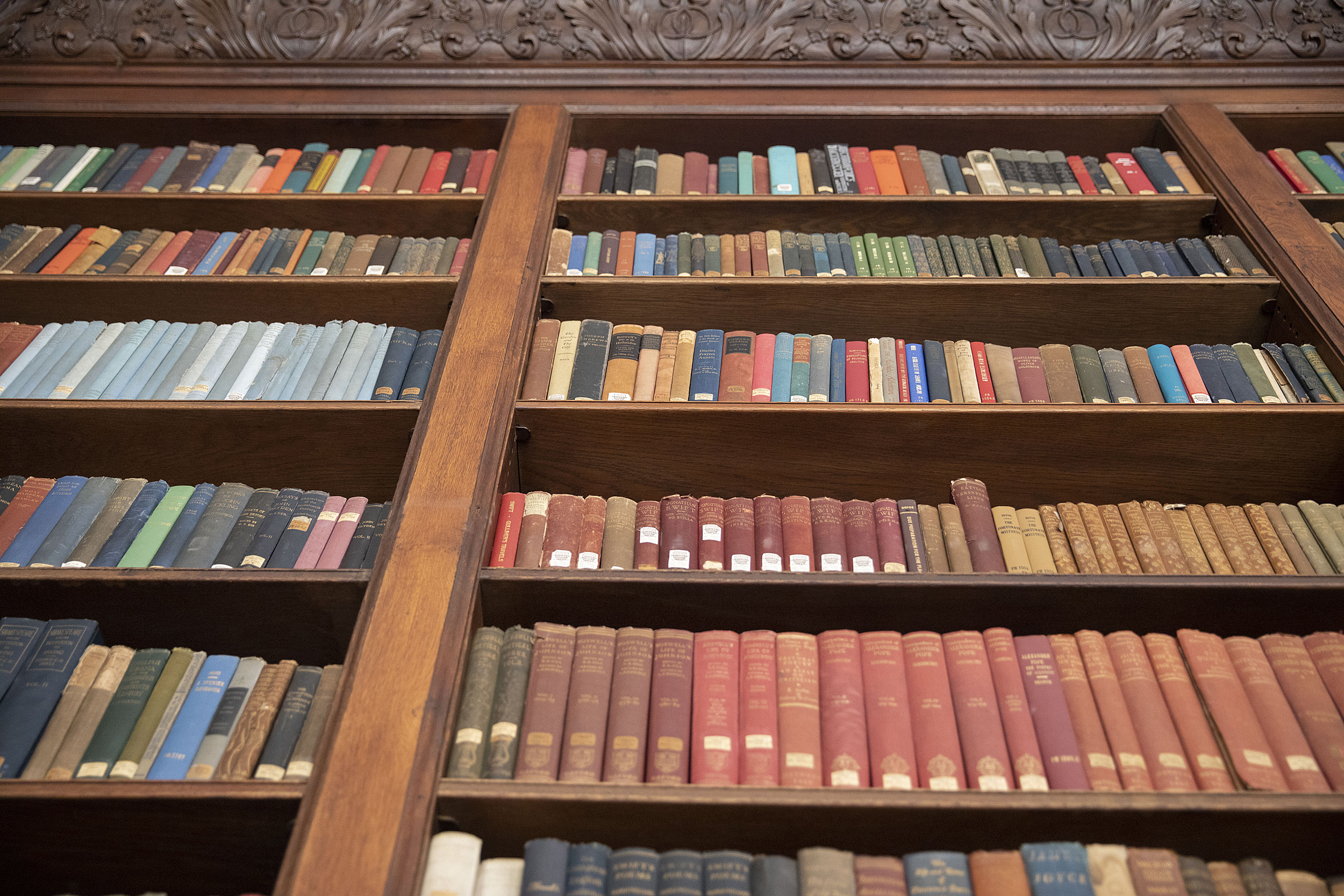 Library shelves