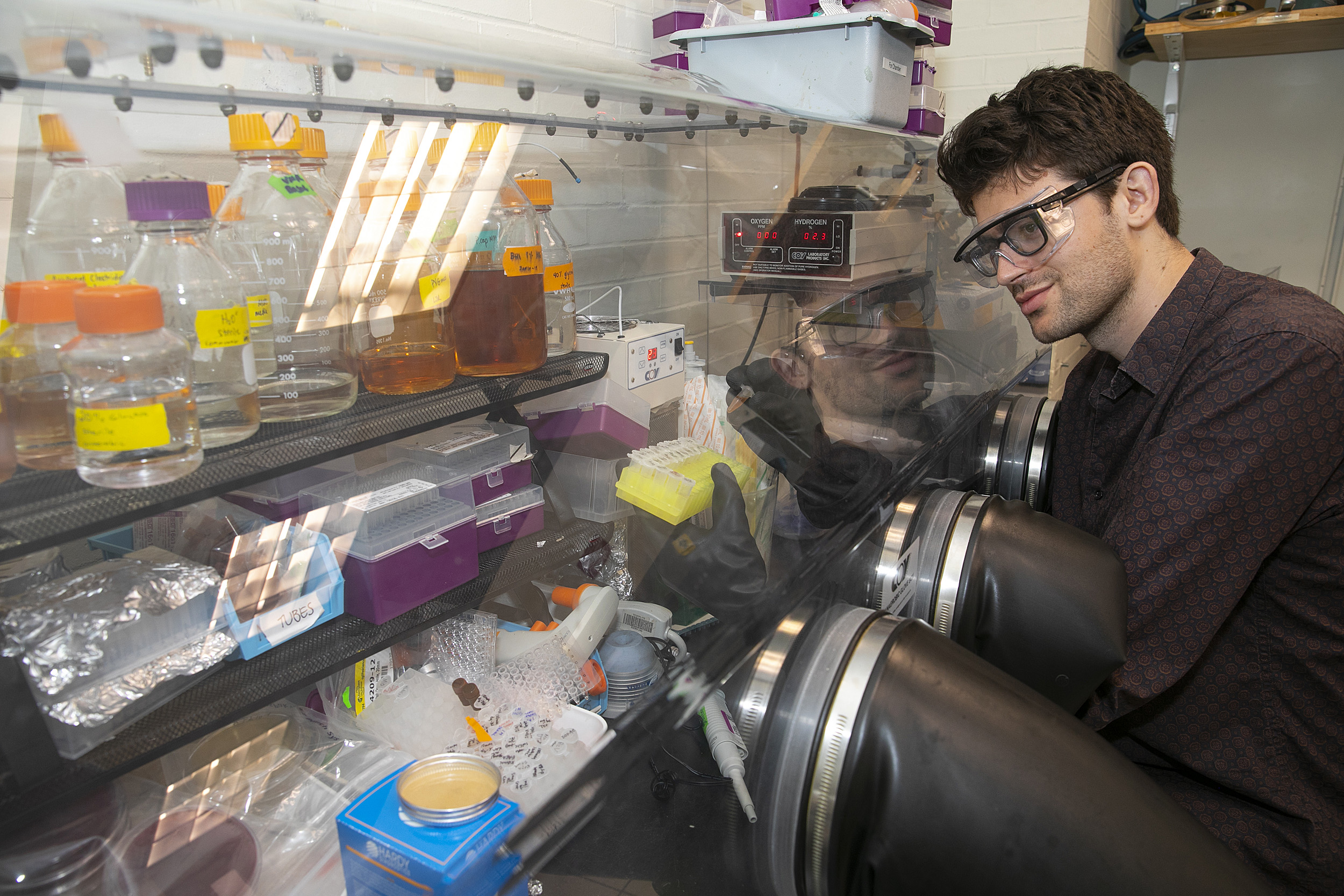 Grad student works in the lab