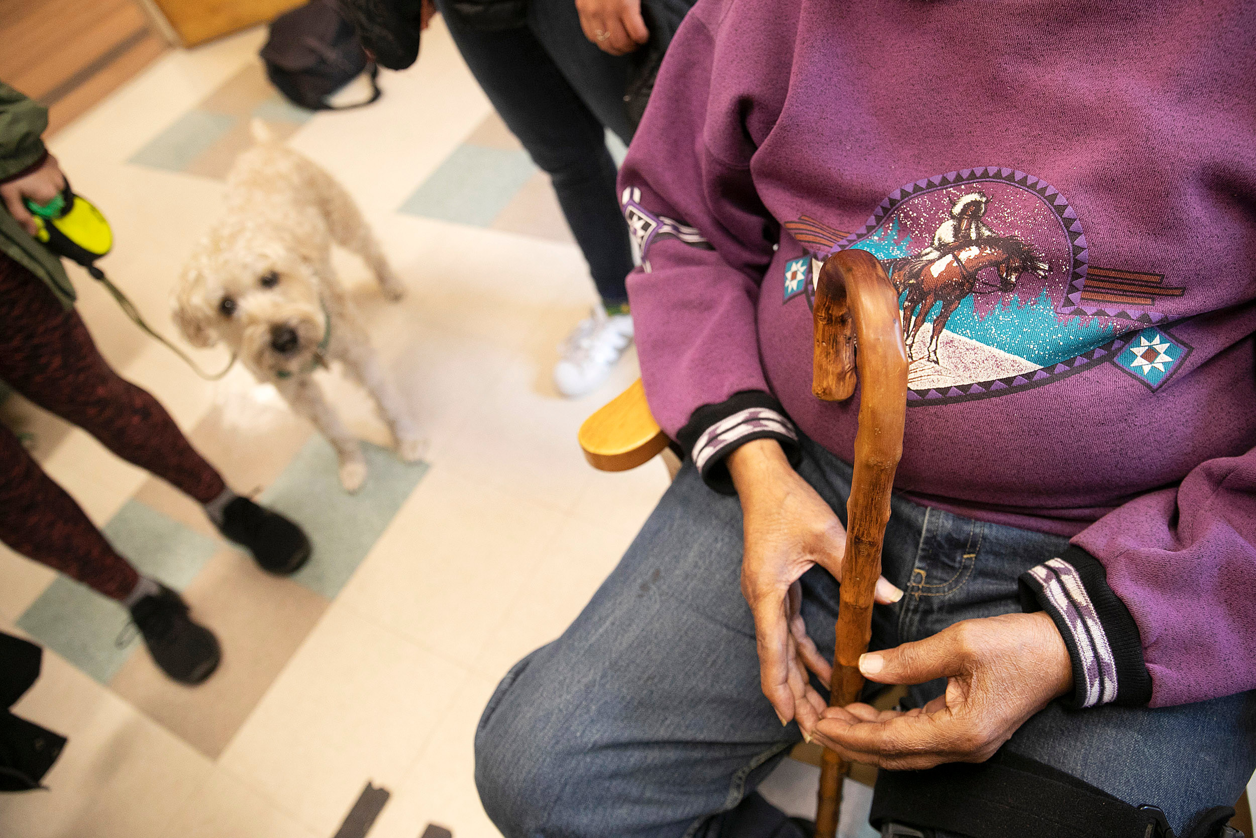 Elderly man in wheelchair, small dog in background.