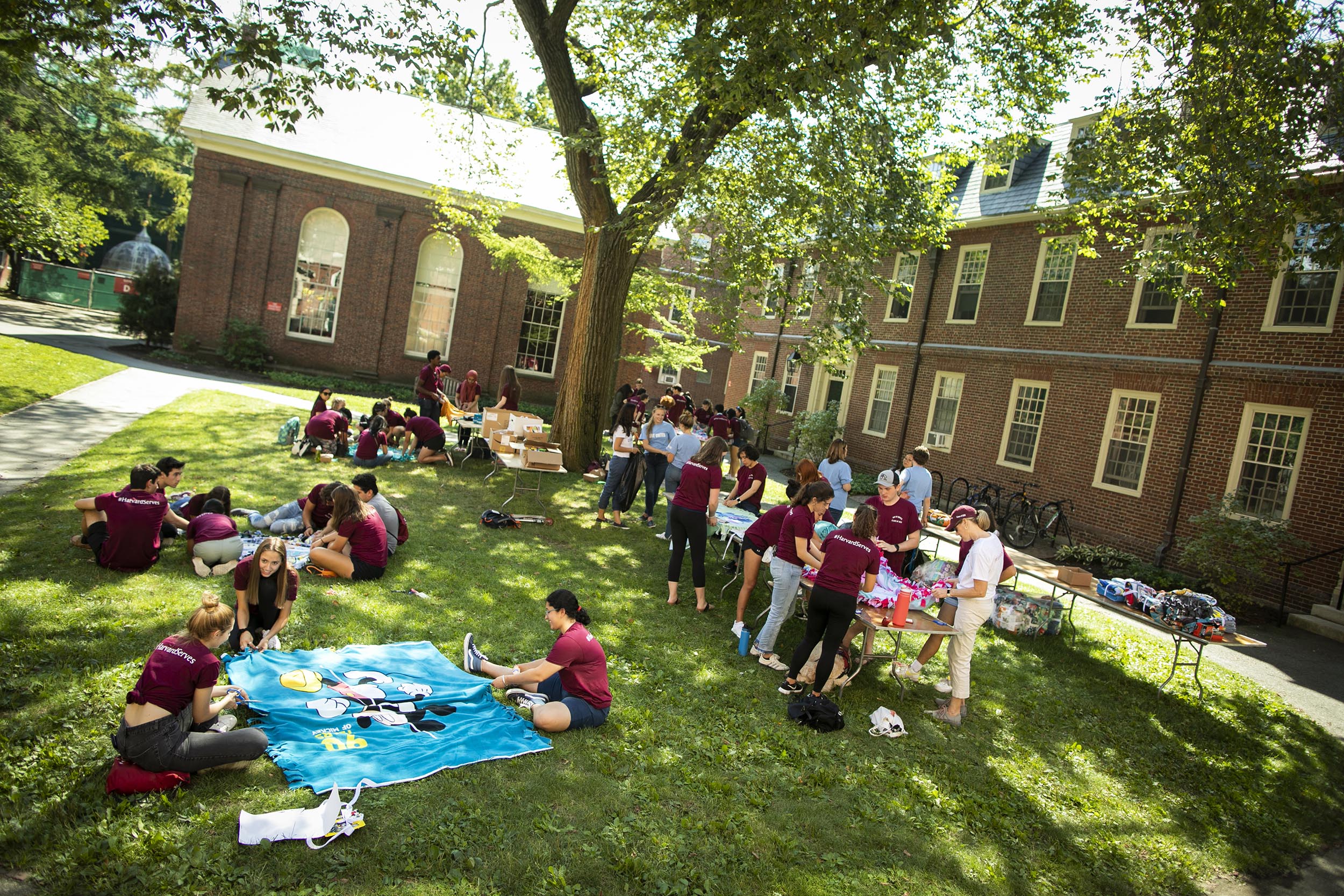 Volunteers in Harvard Yard