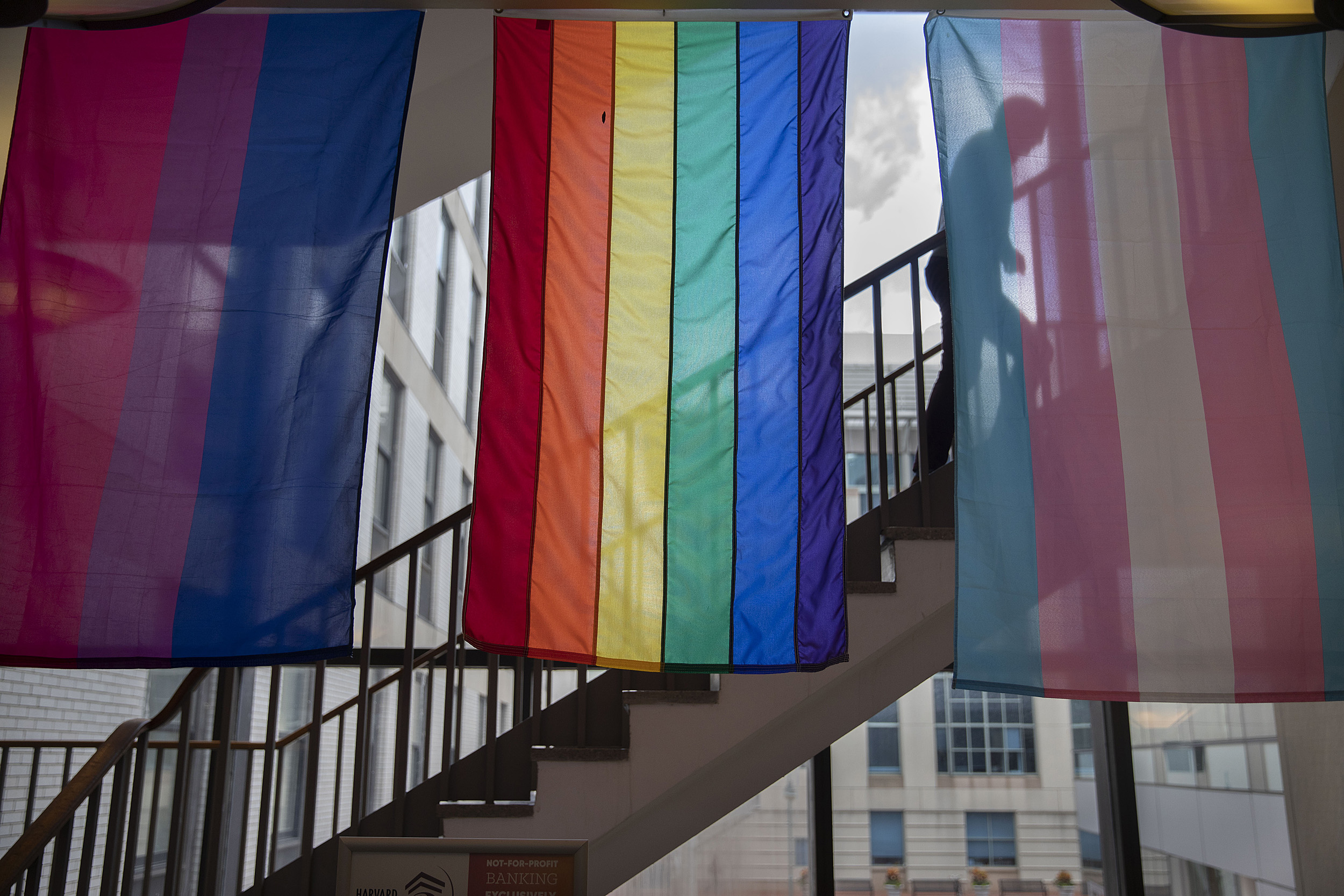 Pride flags.