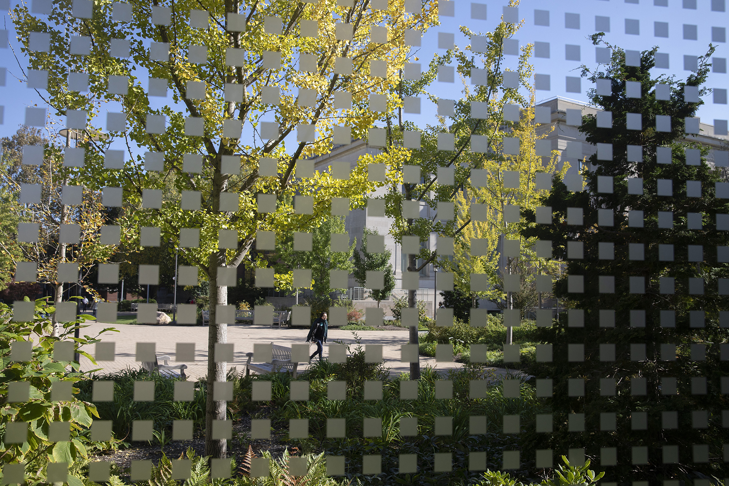 Views through a window.