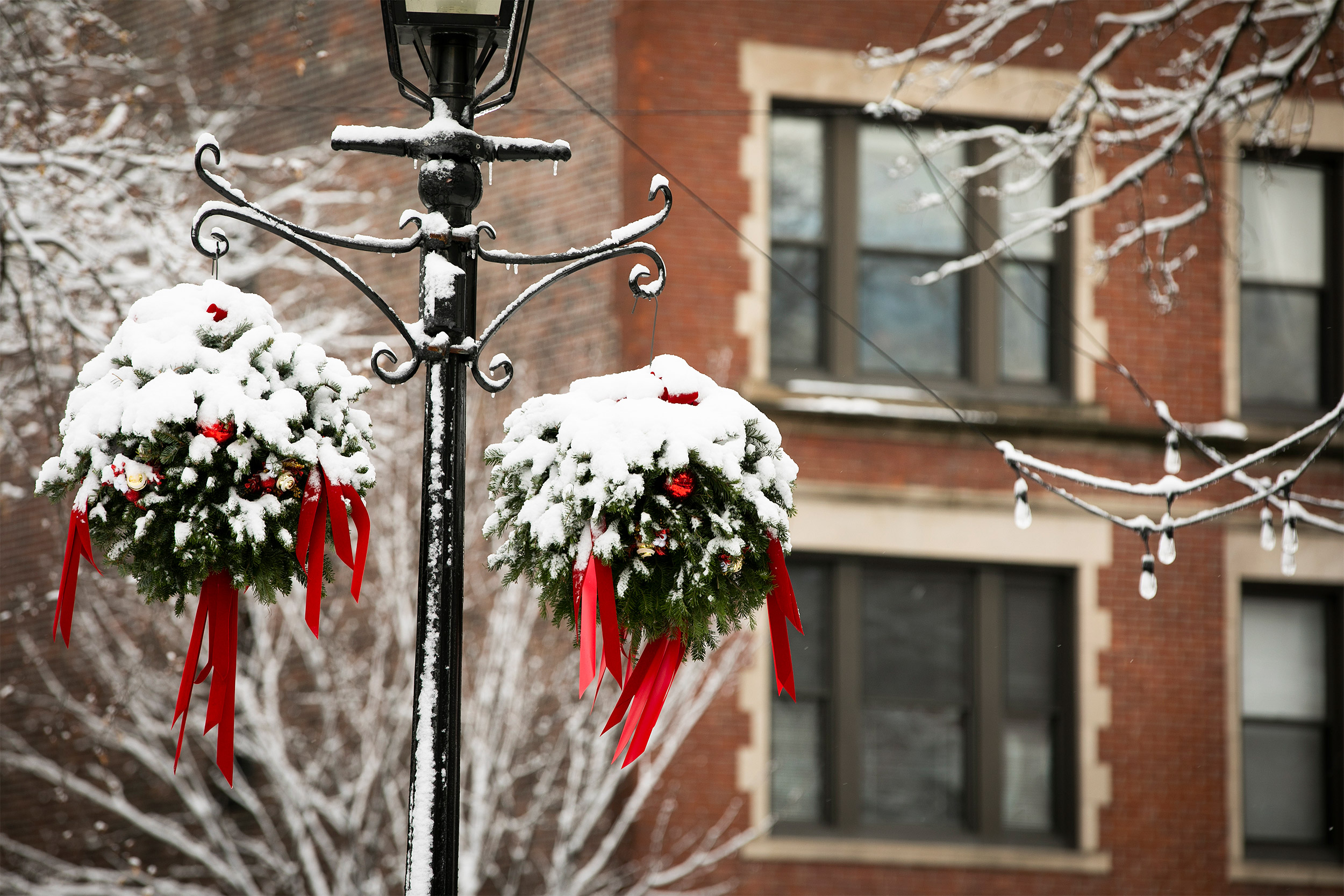 Snow on wreaths.