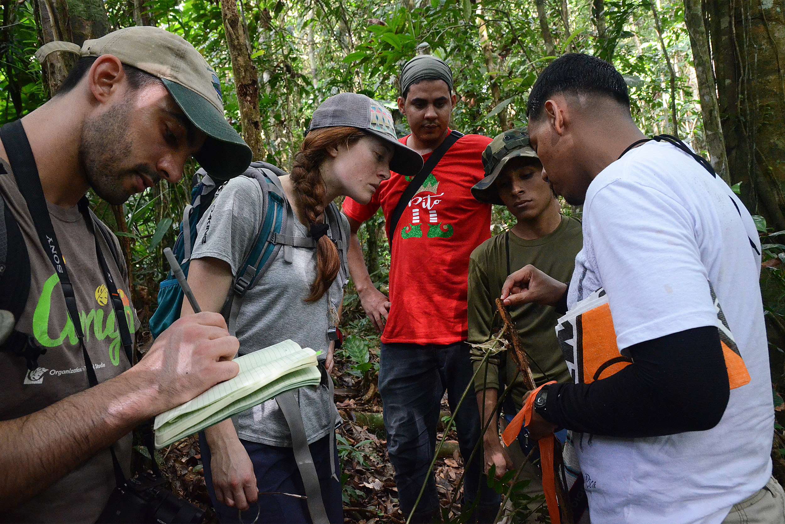 Students studying plants in natural habitat.