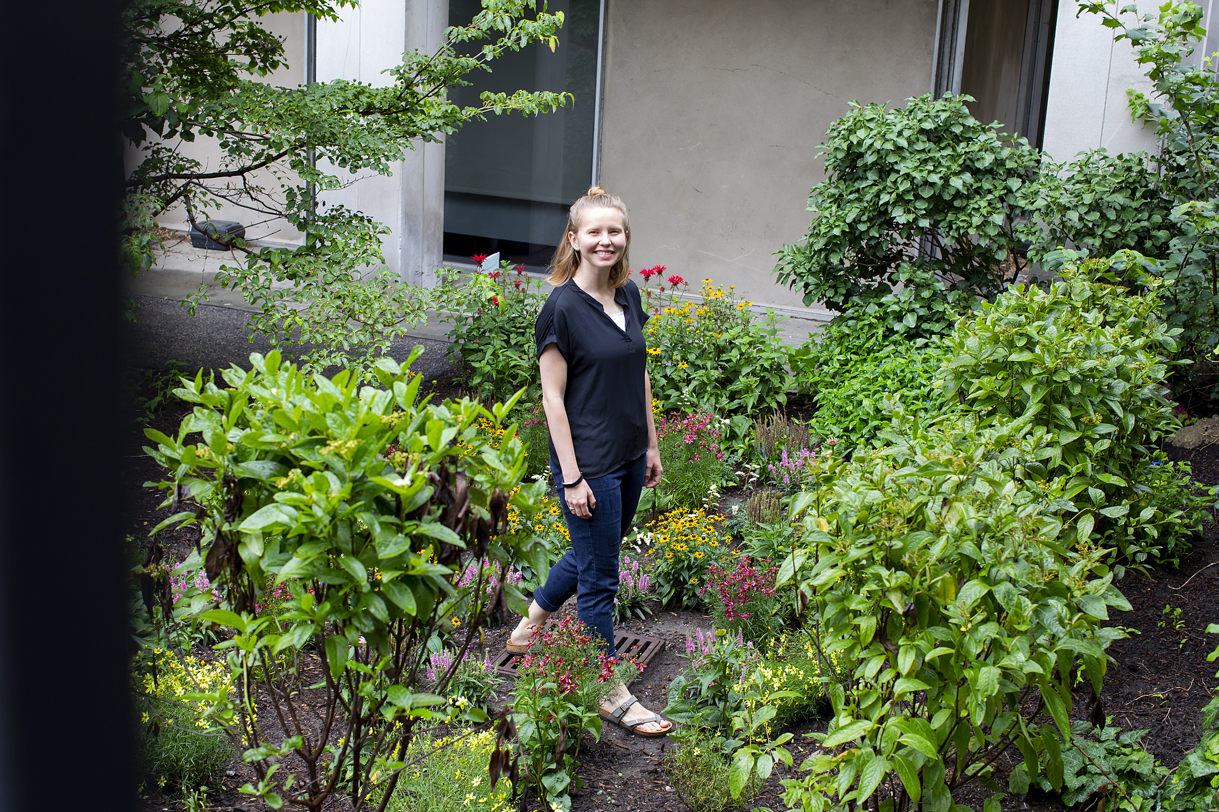 Rain Gardens.