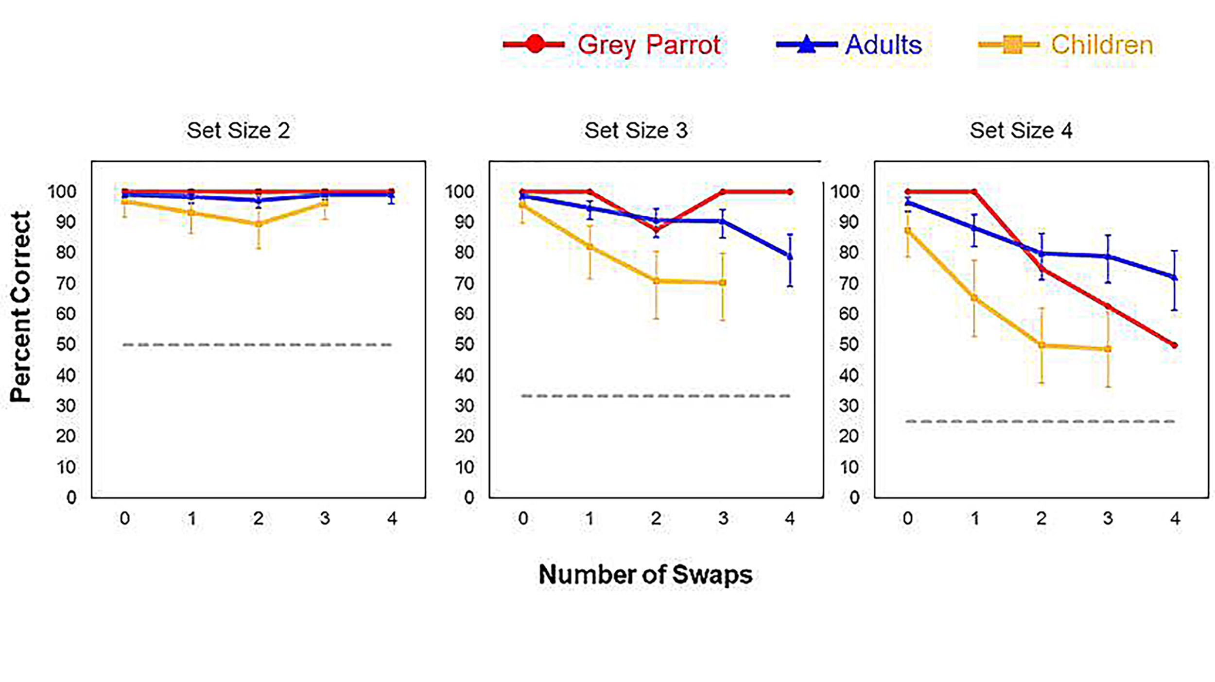 Graphs.