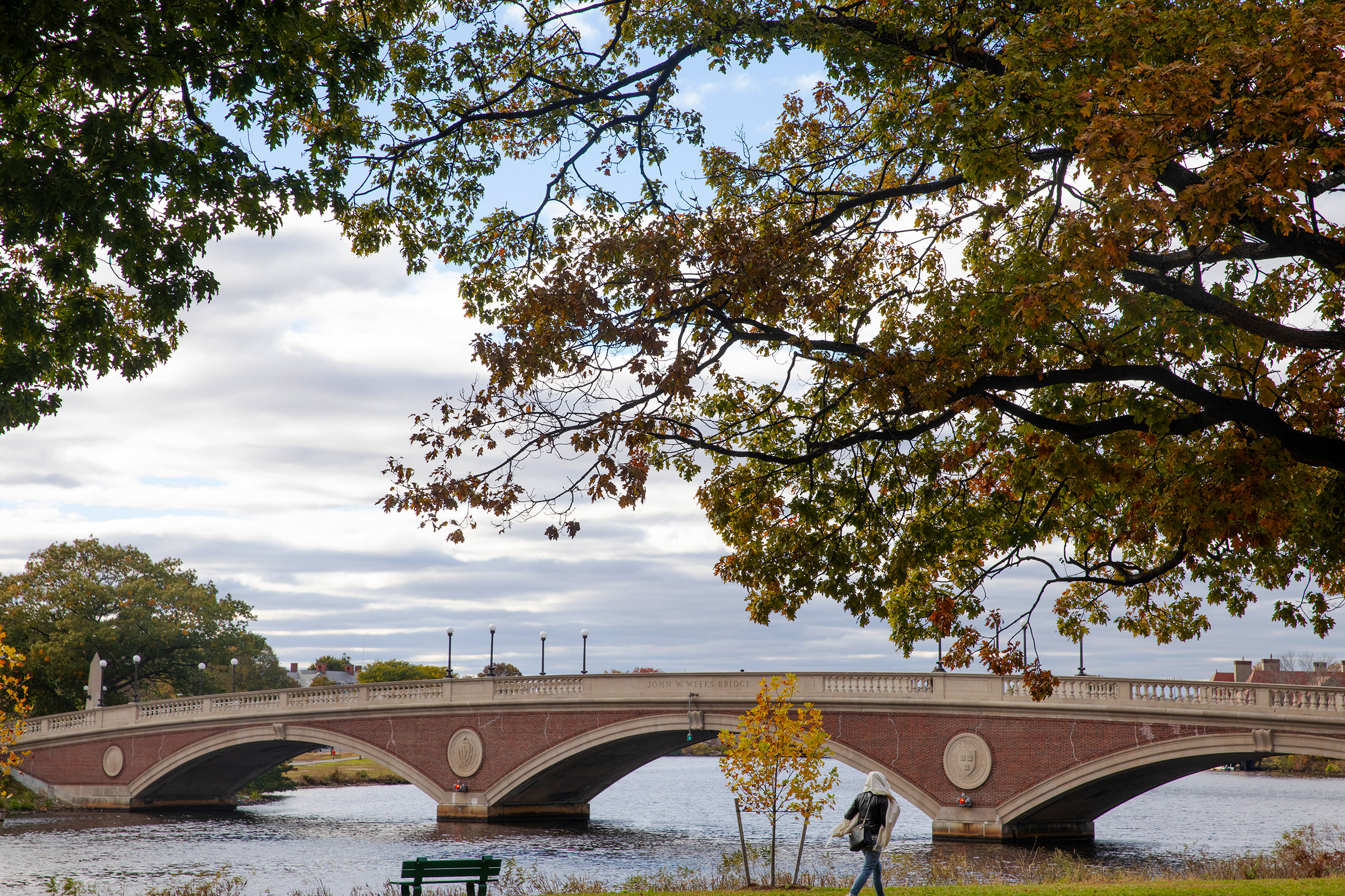 Weeks Bridge to Harvard campus