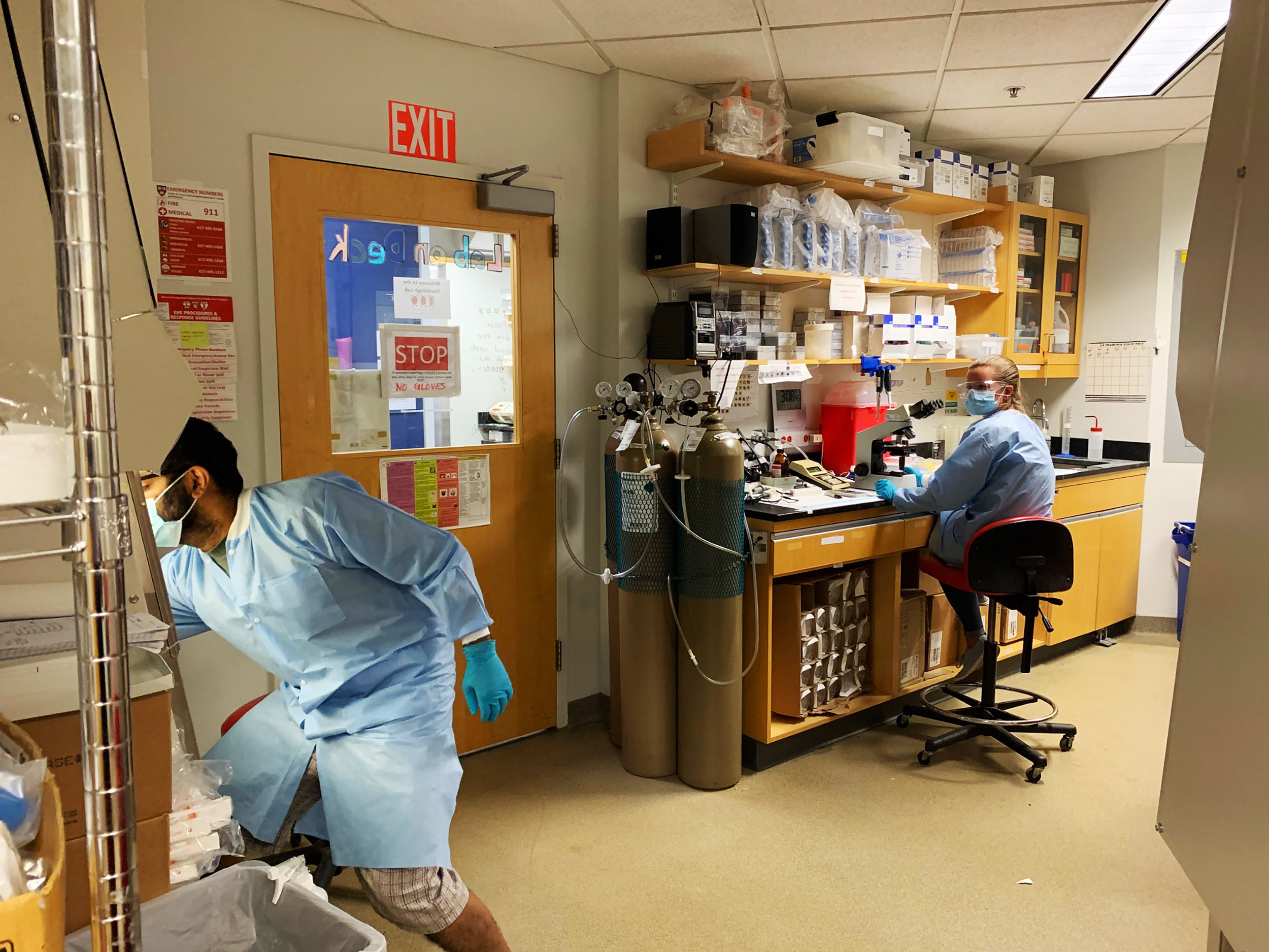 Aditya Paul and Ali Hogue work in a lab.