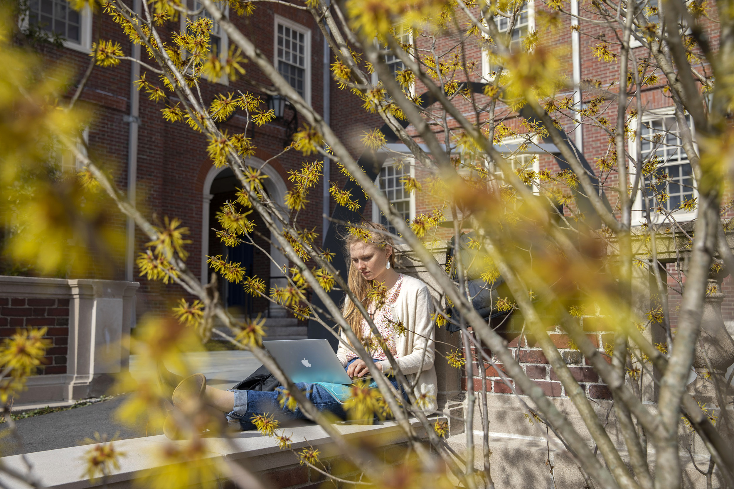 Katherine Miclau ’20 studies in Lowell House courtyard.