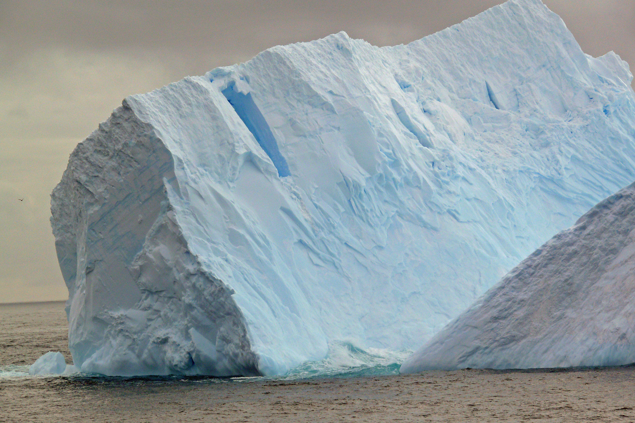Iceberg floating.
