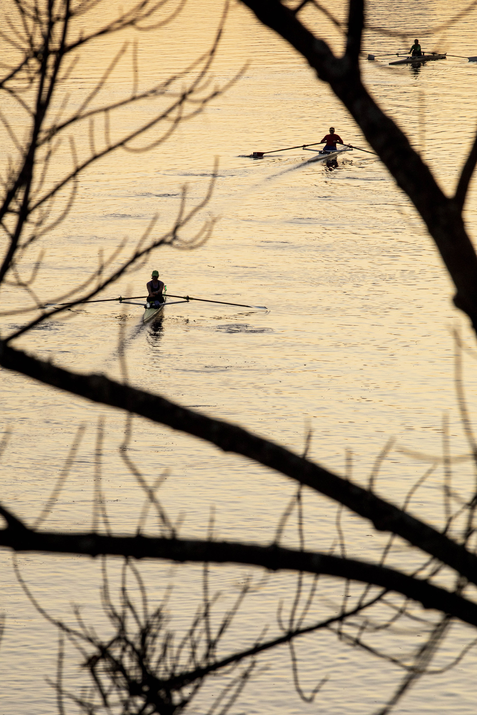 Rowers at dawn as seen from the BU Bridge.