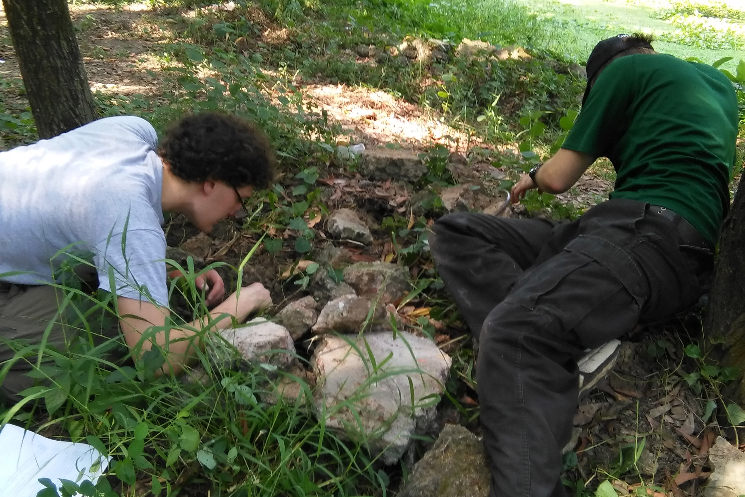 Men collecting ants.