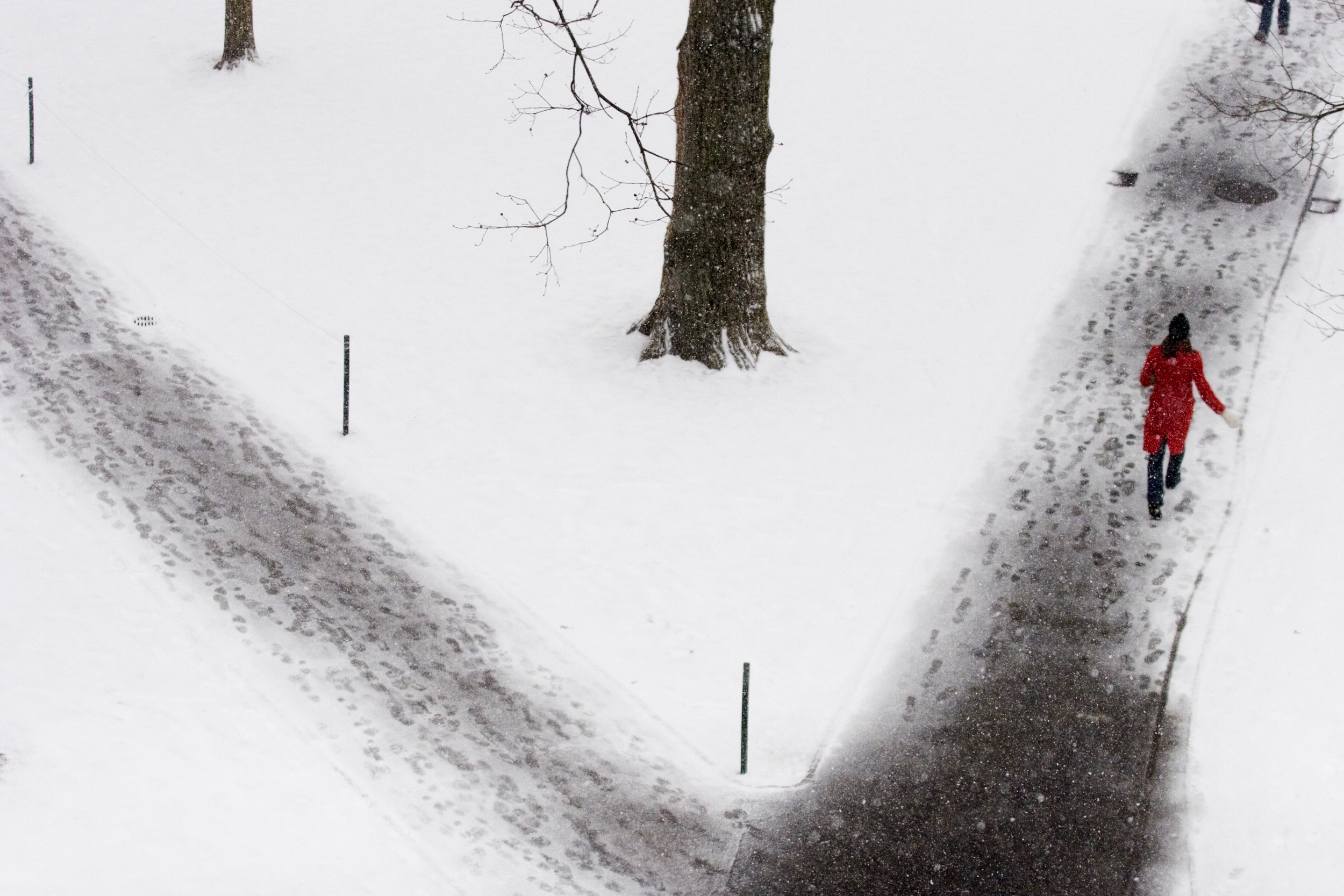 Yard with snow 2007.