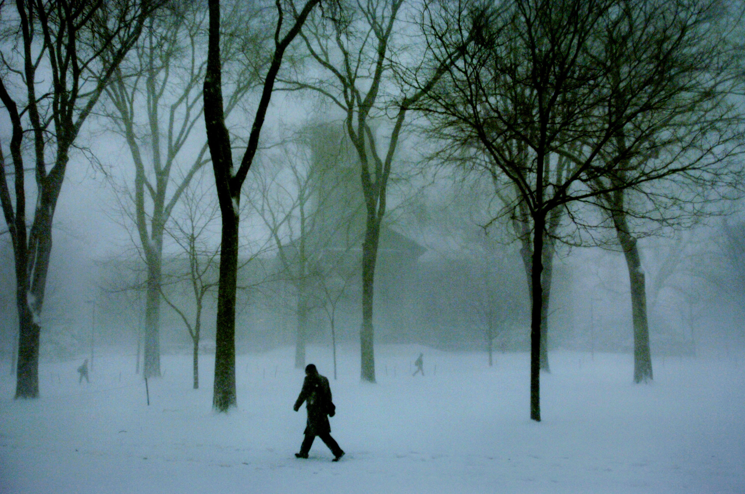 Stormy walk in snow.