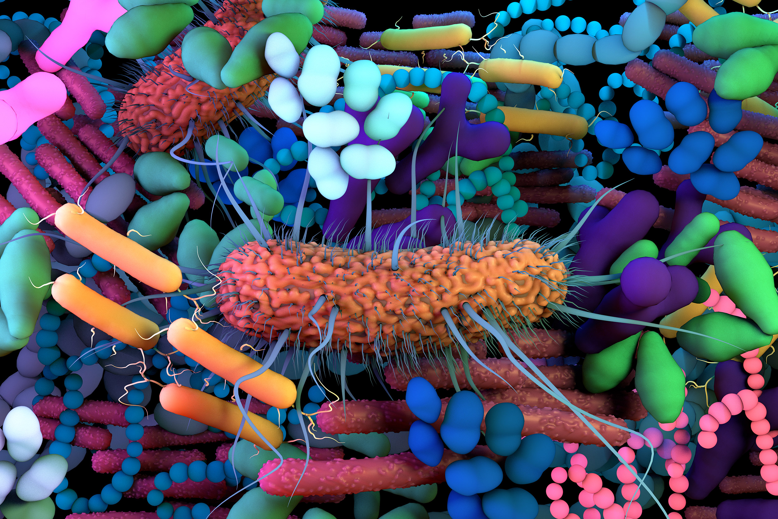 Ilustration of the human Microbiome,