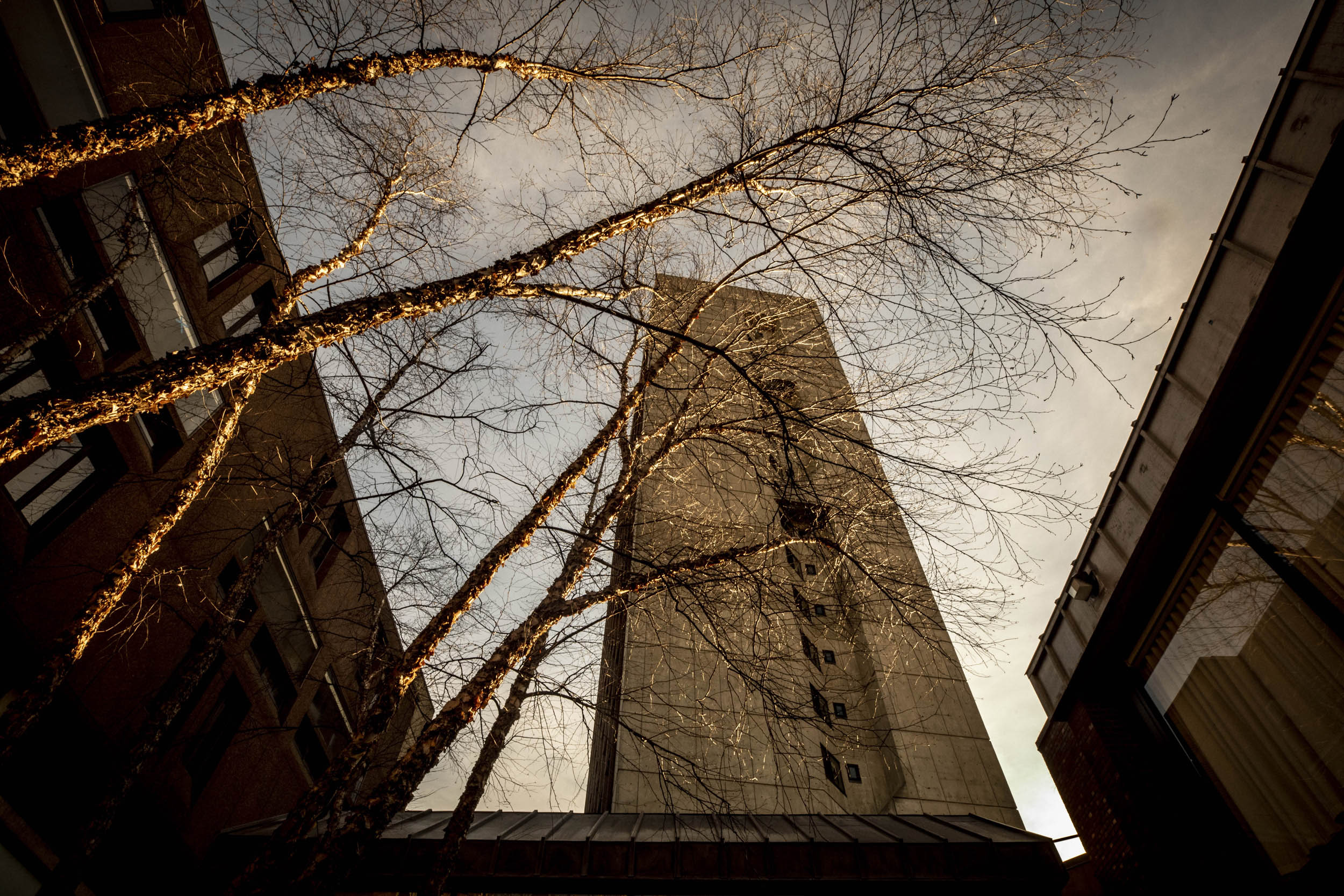 The view up at Mather’s 21 stories from the sunken courtyard.