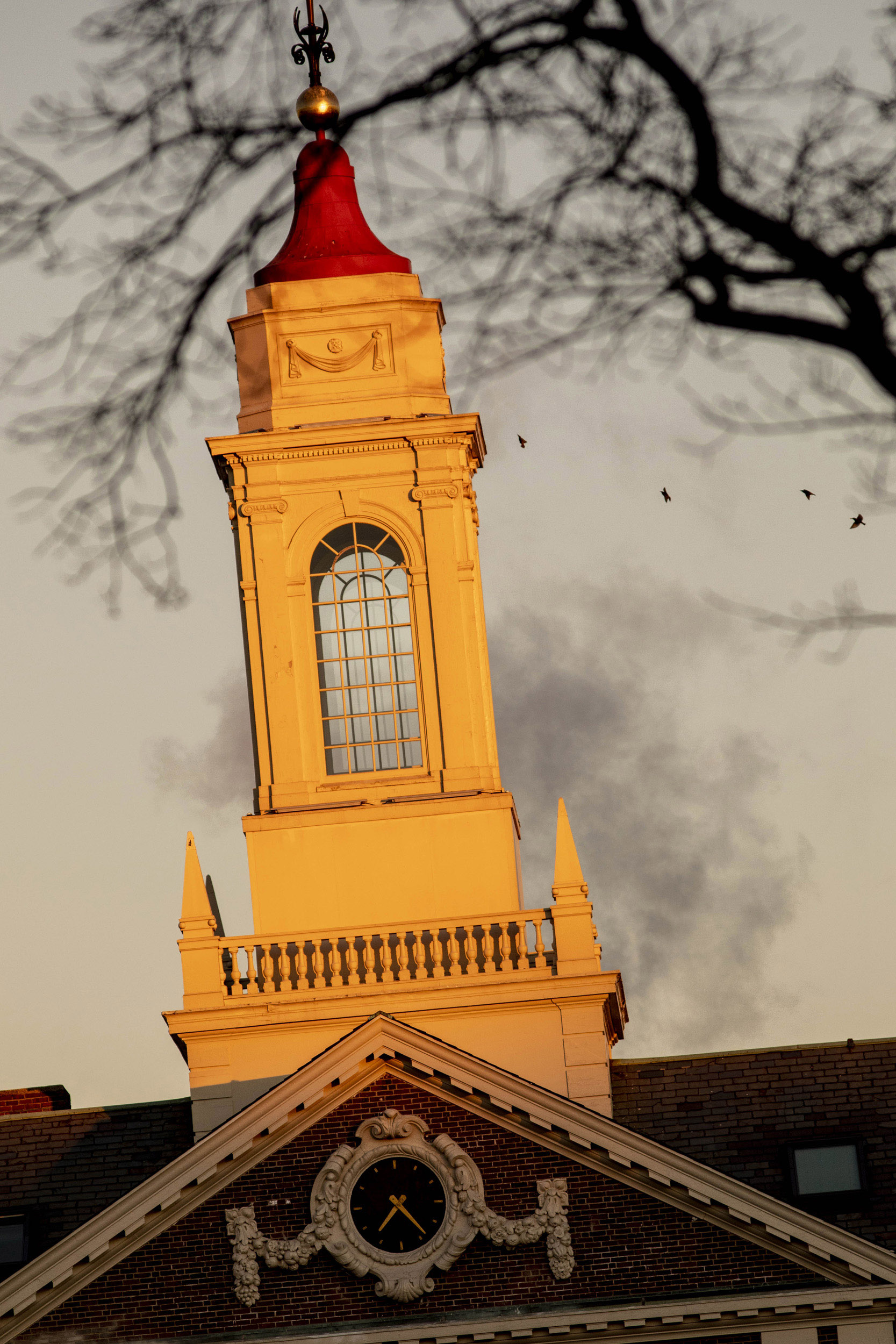 The bell tower at Pforzheimer is pictured.