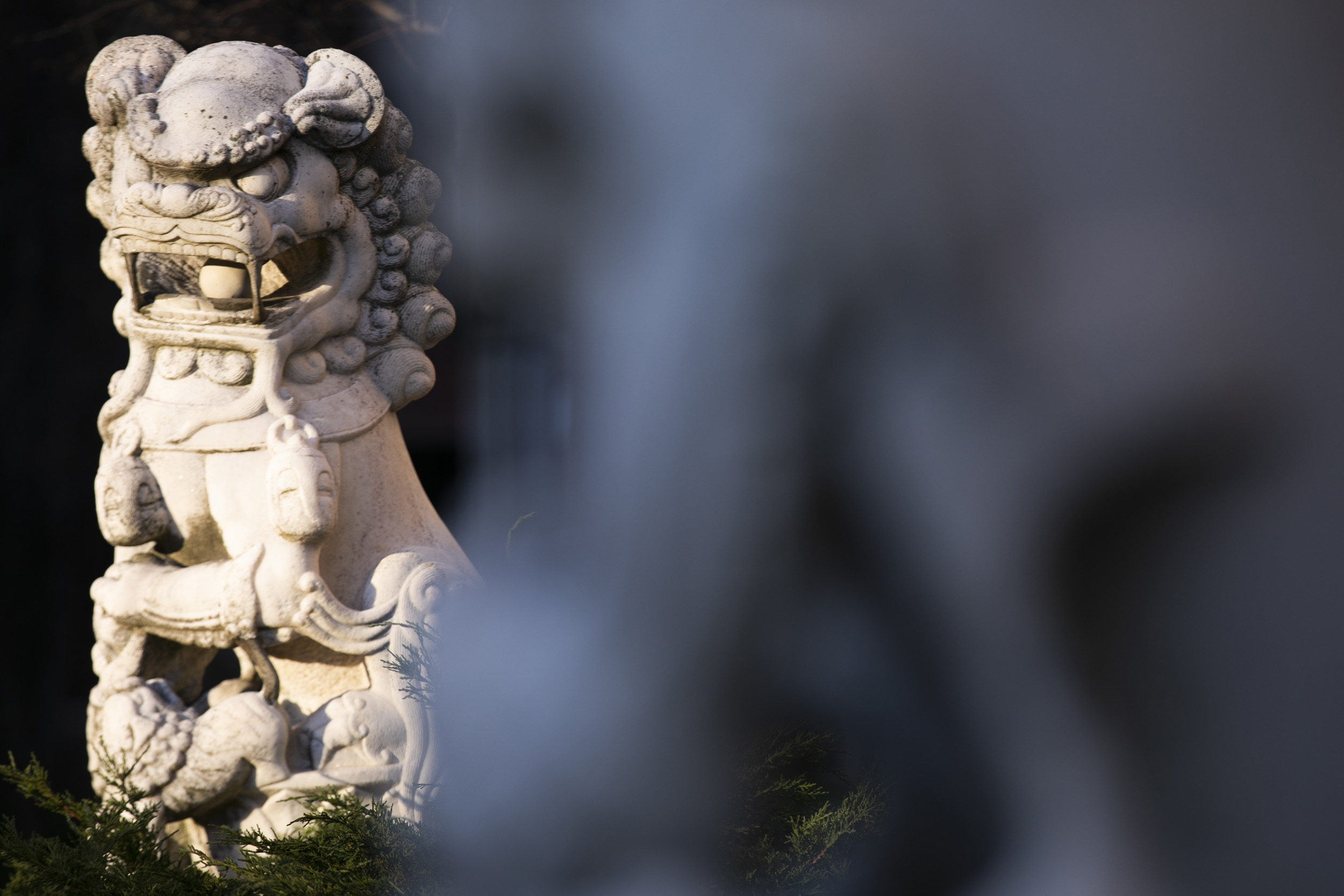 A pair of lions flank the entrance to the Harvard-Yenching Library.