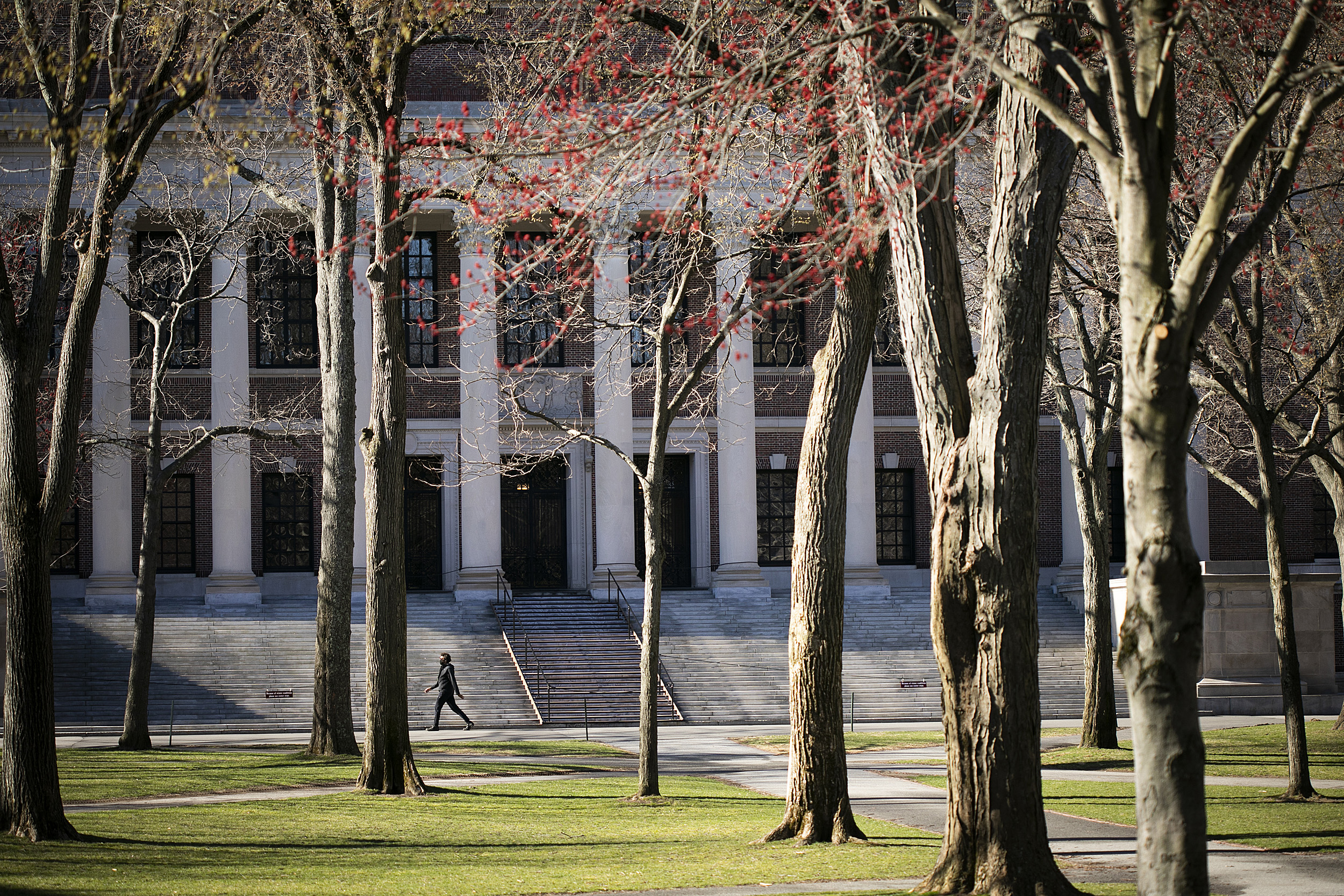 Widener Library.