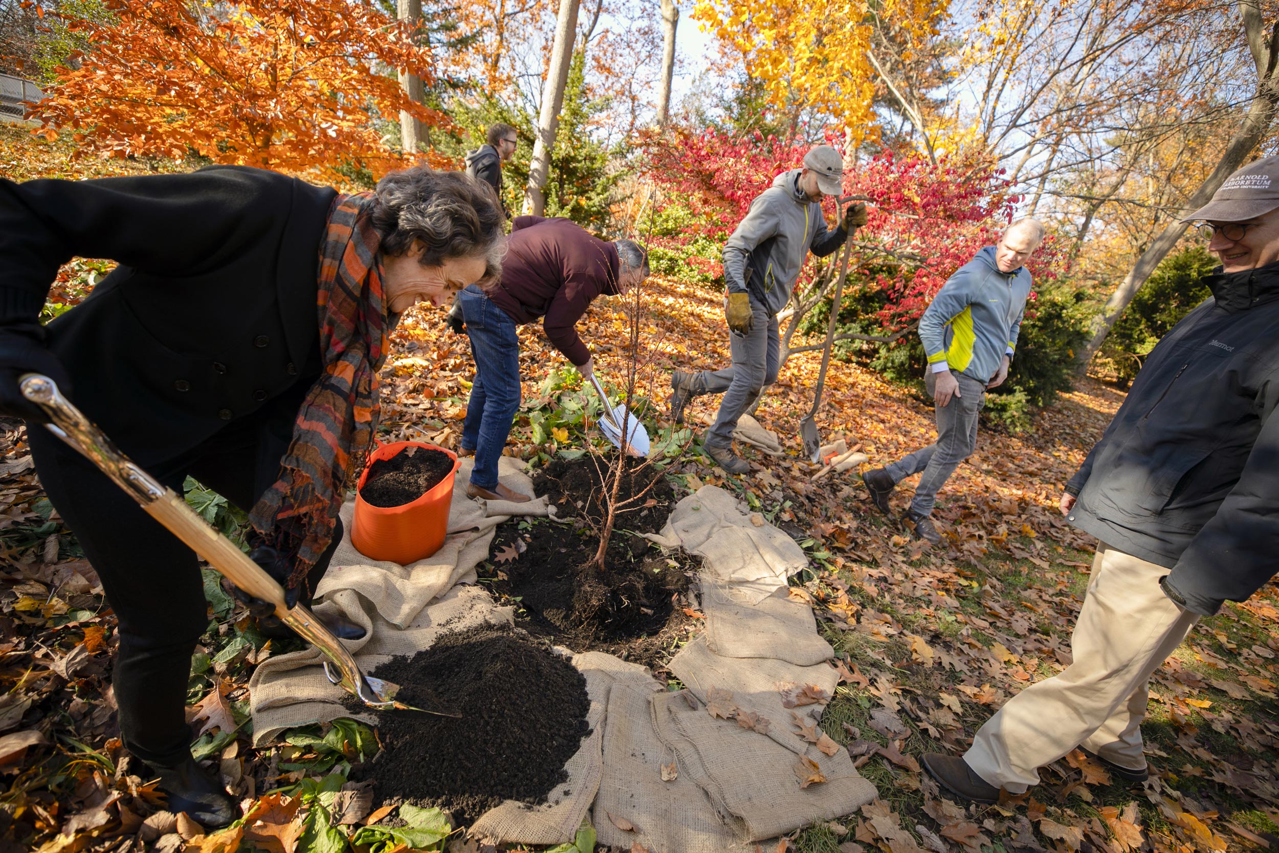 Adele ad Larry Bacow planting trees.