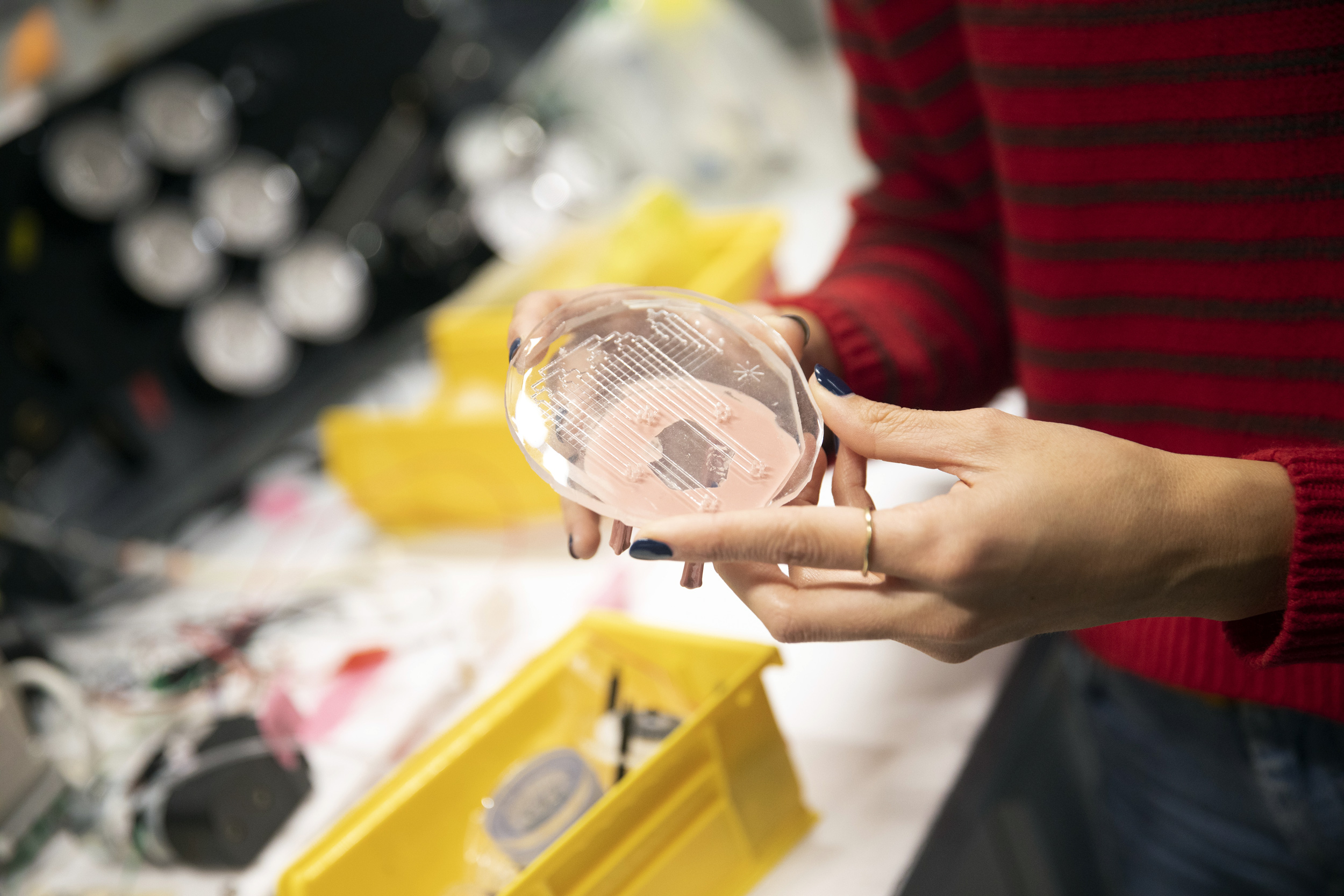 Elizabeth Gallardo Hevia works in the lab.