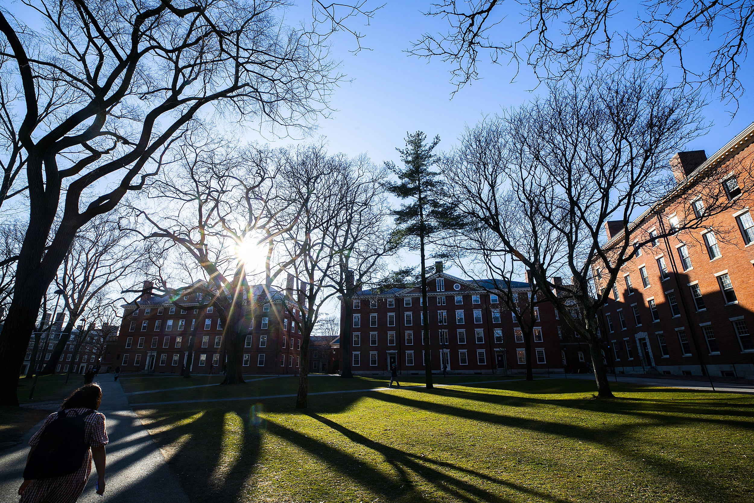 Harvard Yard.