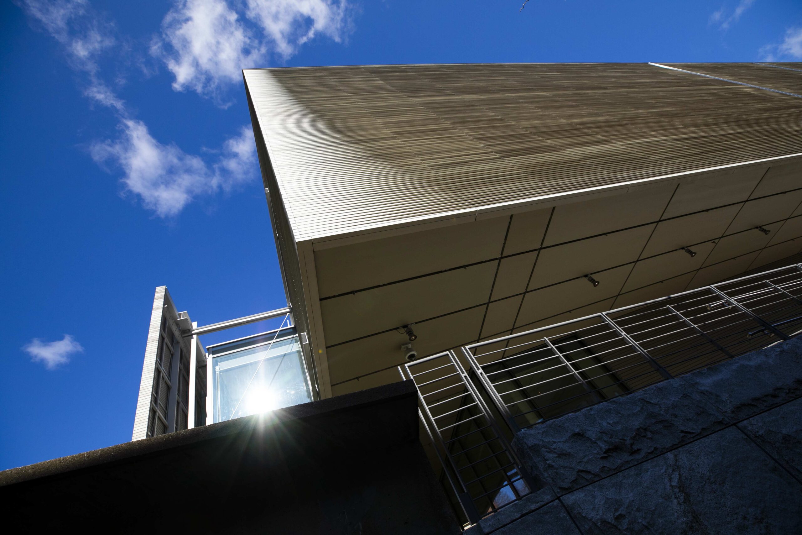 Harvard Art Museums is pictured.