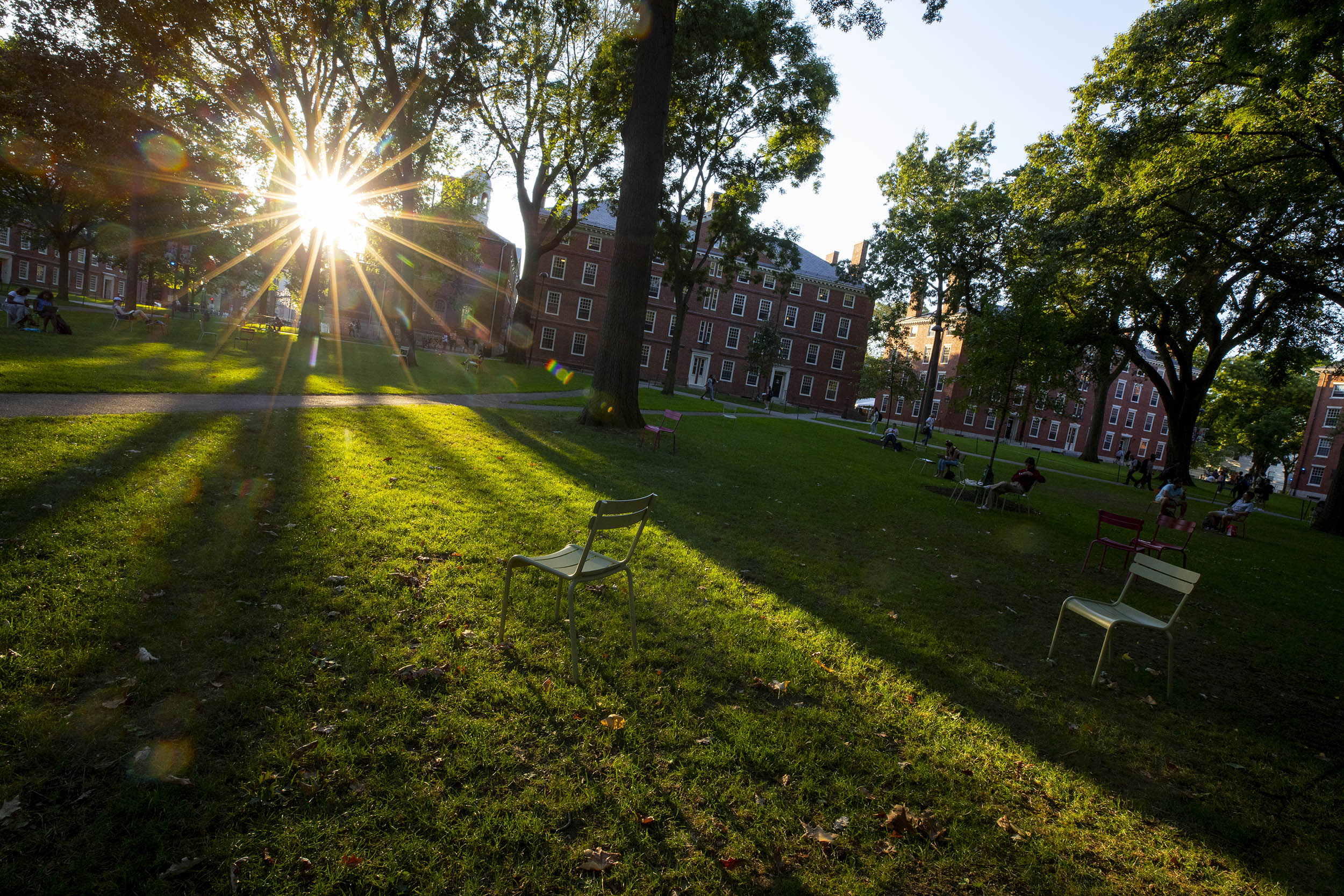 Harvard Yard.