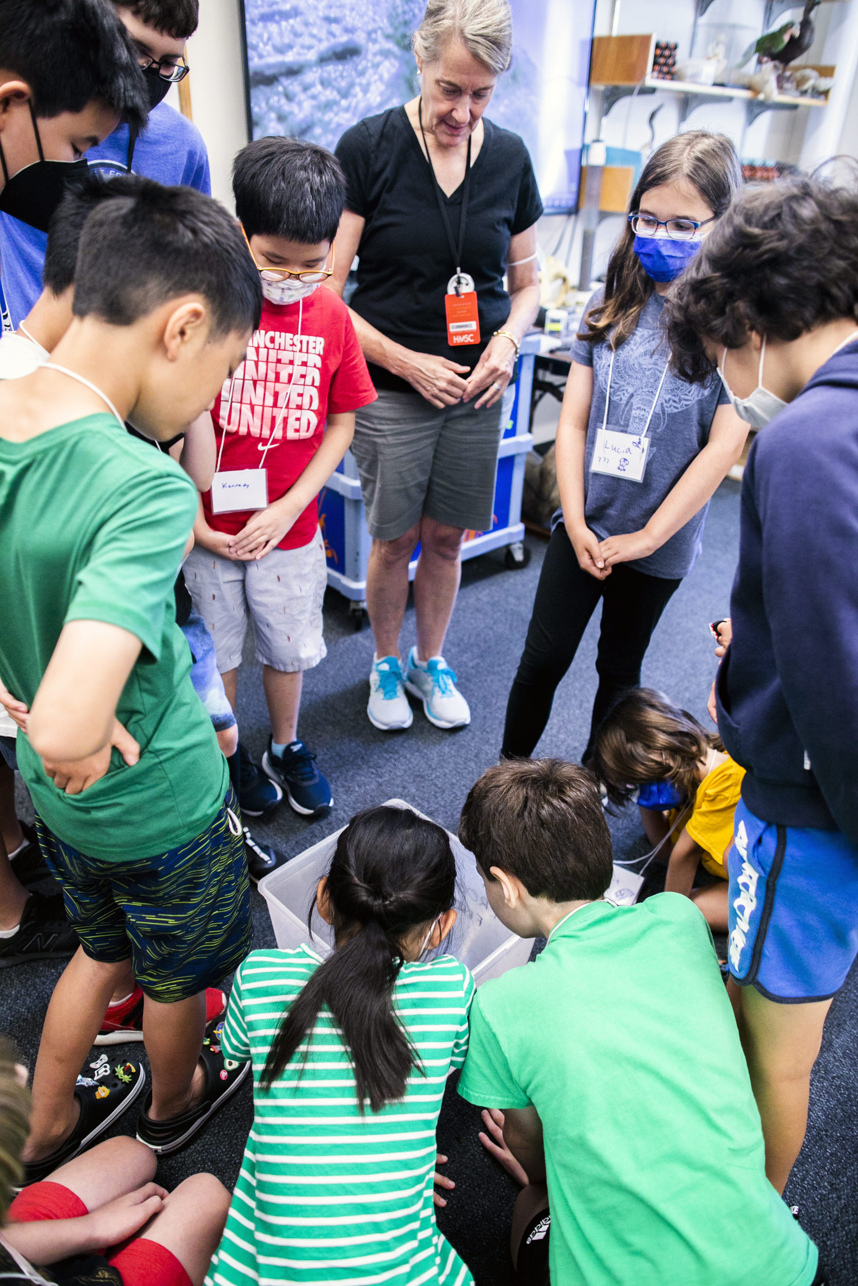 Jennifer Peterson (center) invites students to take a closer look at a giant African bullfrog.