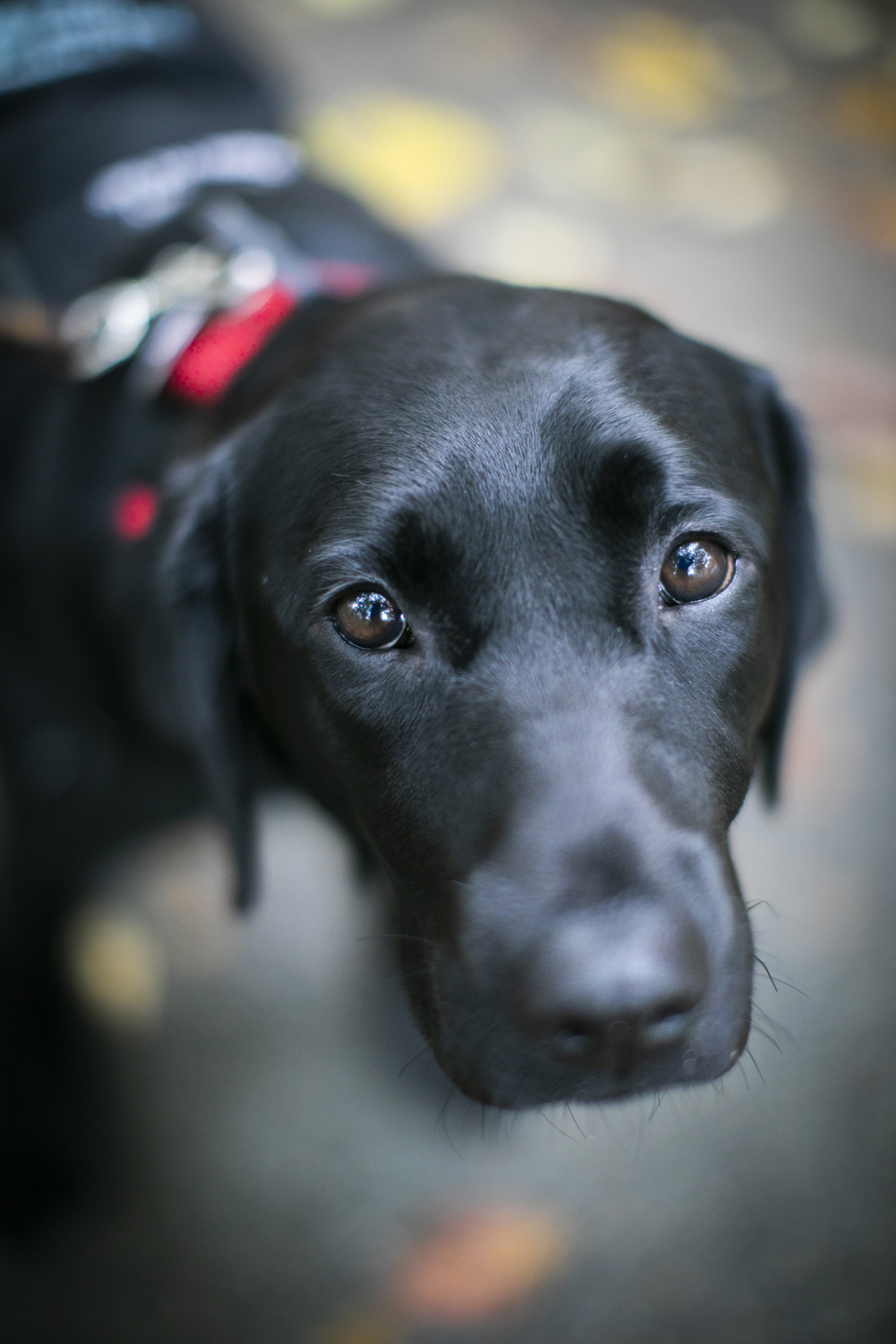 Close-up of Sasha's face.