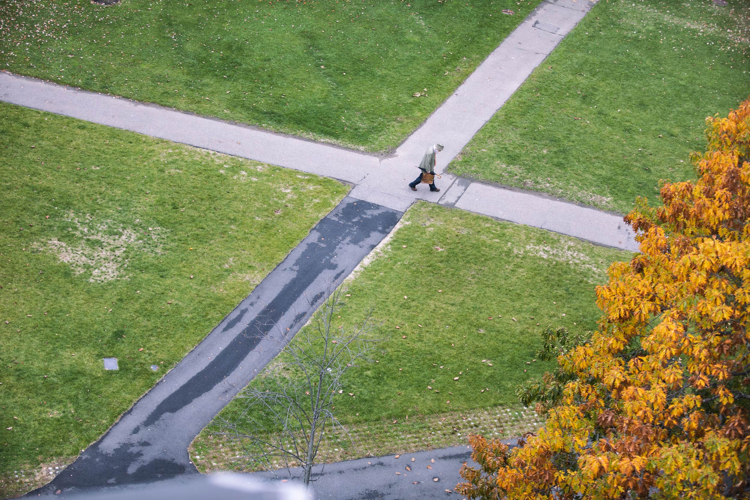 Pictured from overhead, a man walks across the x-intersection of two paths by Harvard Divinity School.