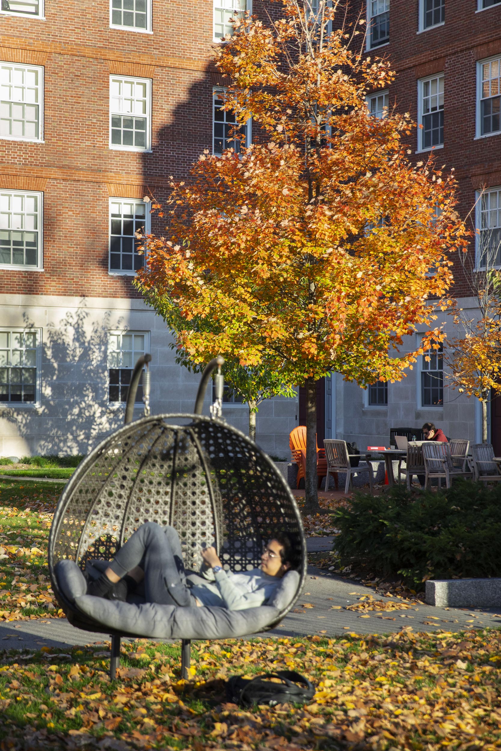 A swinging couch hangs in the Dunster House courtyard.