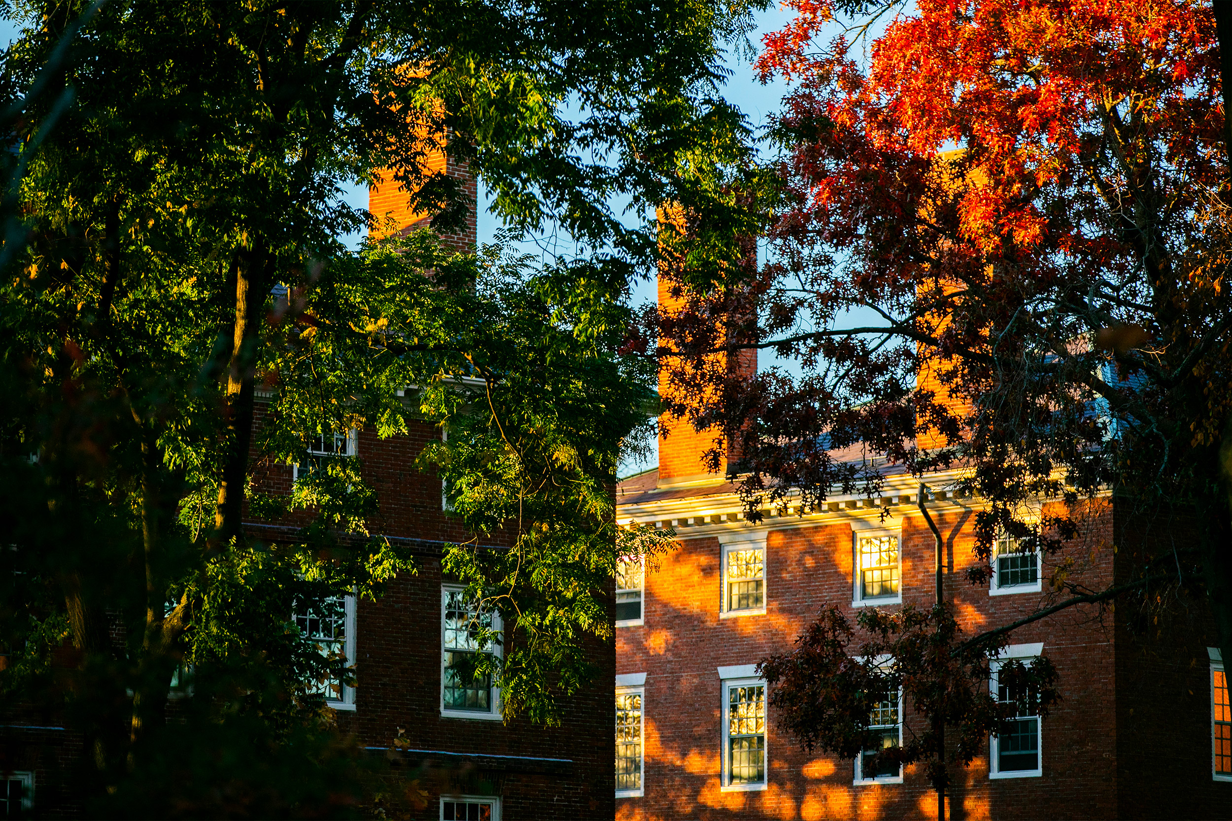 First-year residences in Harvard Yard.