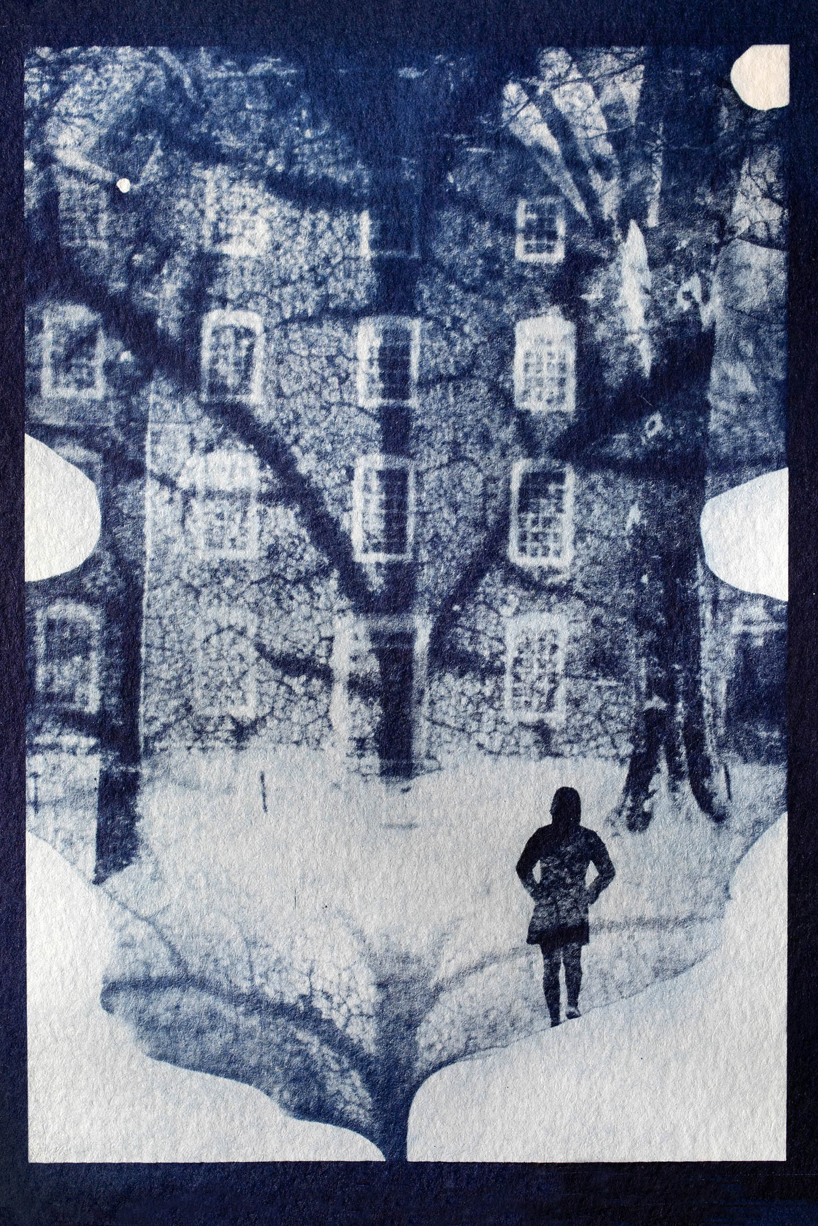 Cyanotype, Harvard Yard.