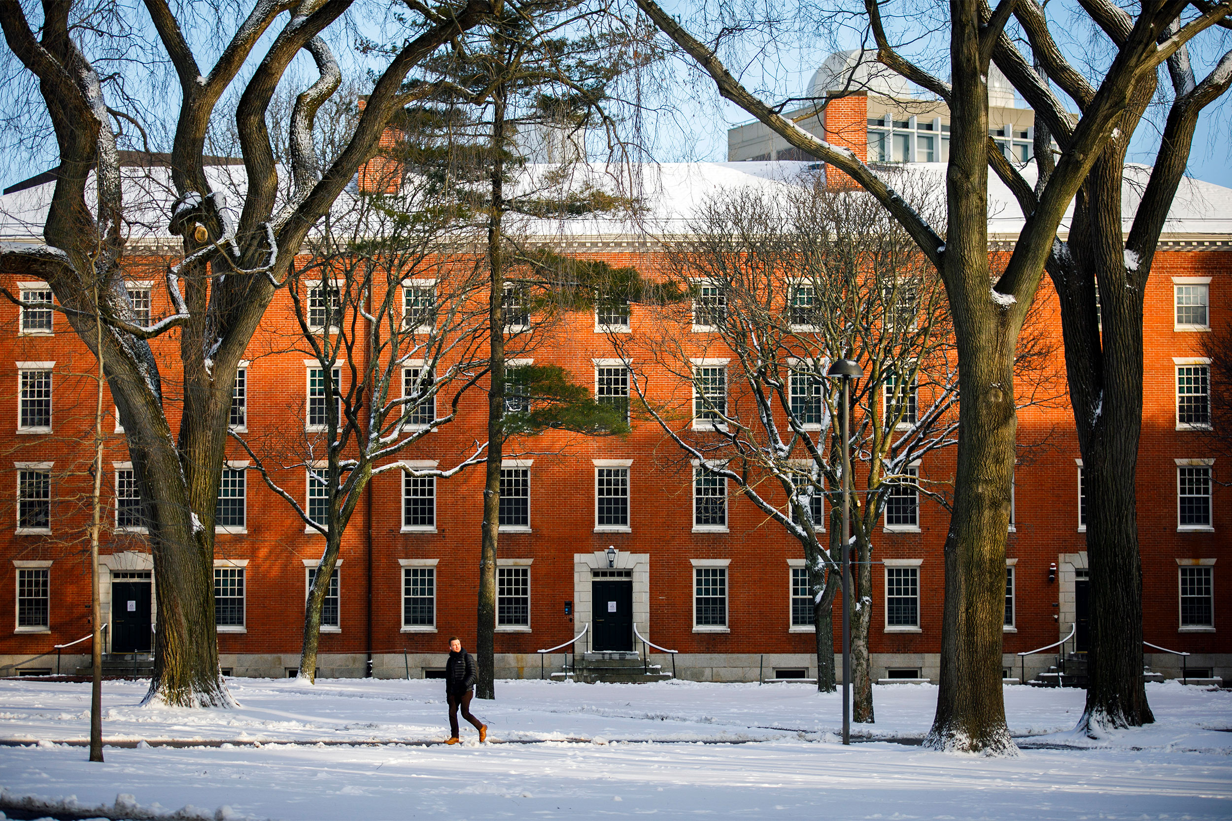 Harvard Yard following a recent snowstorm.